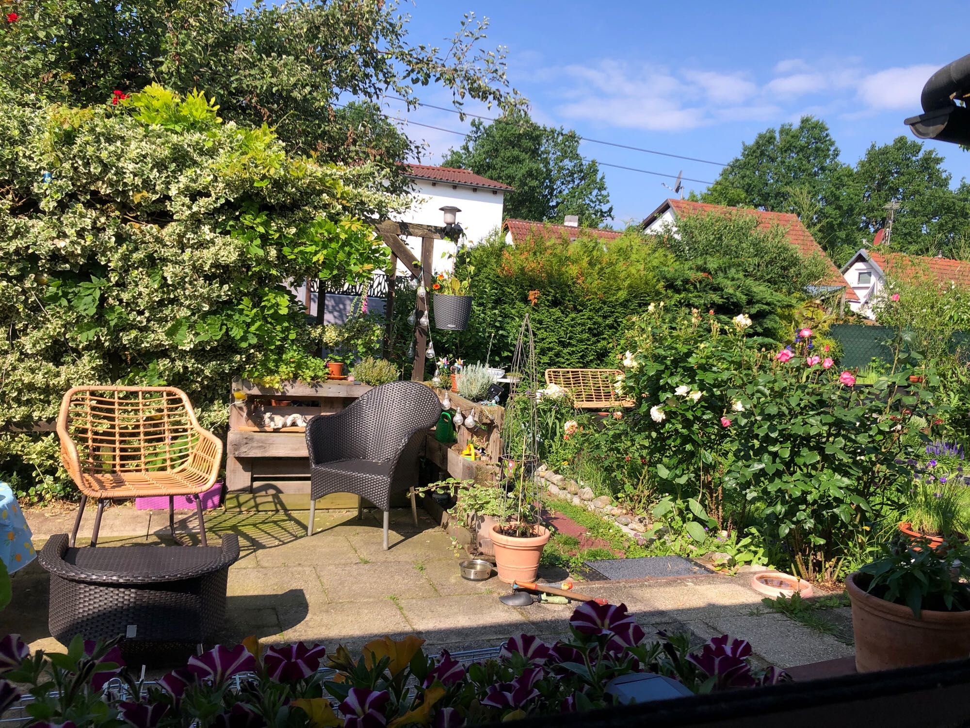 Blick aus dem Terrassenfenster in den Garten. Zwei Stühle auf der Terrasse, ein Hocker. Dahinter zwei Europaletten mit Kräutern. Davor zwei Blumentöpfe mit Weihrauch (gegen Stechmücken) und einem Jasmin. Direkt am Fenster pinkweiß gestreifte Petunien mit orangenen in einem Blumenkasten. 

Im Hintergrund rechts Rosen in Pink und Weiß. Ein Topf mit Löwenmäulchen. Ganz hinten noch eine Gartenbank vor einer Hecke. 

Alles blüht. Die Sonne scheint.