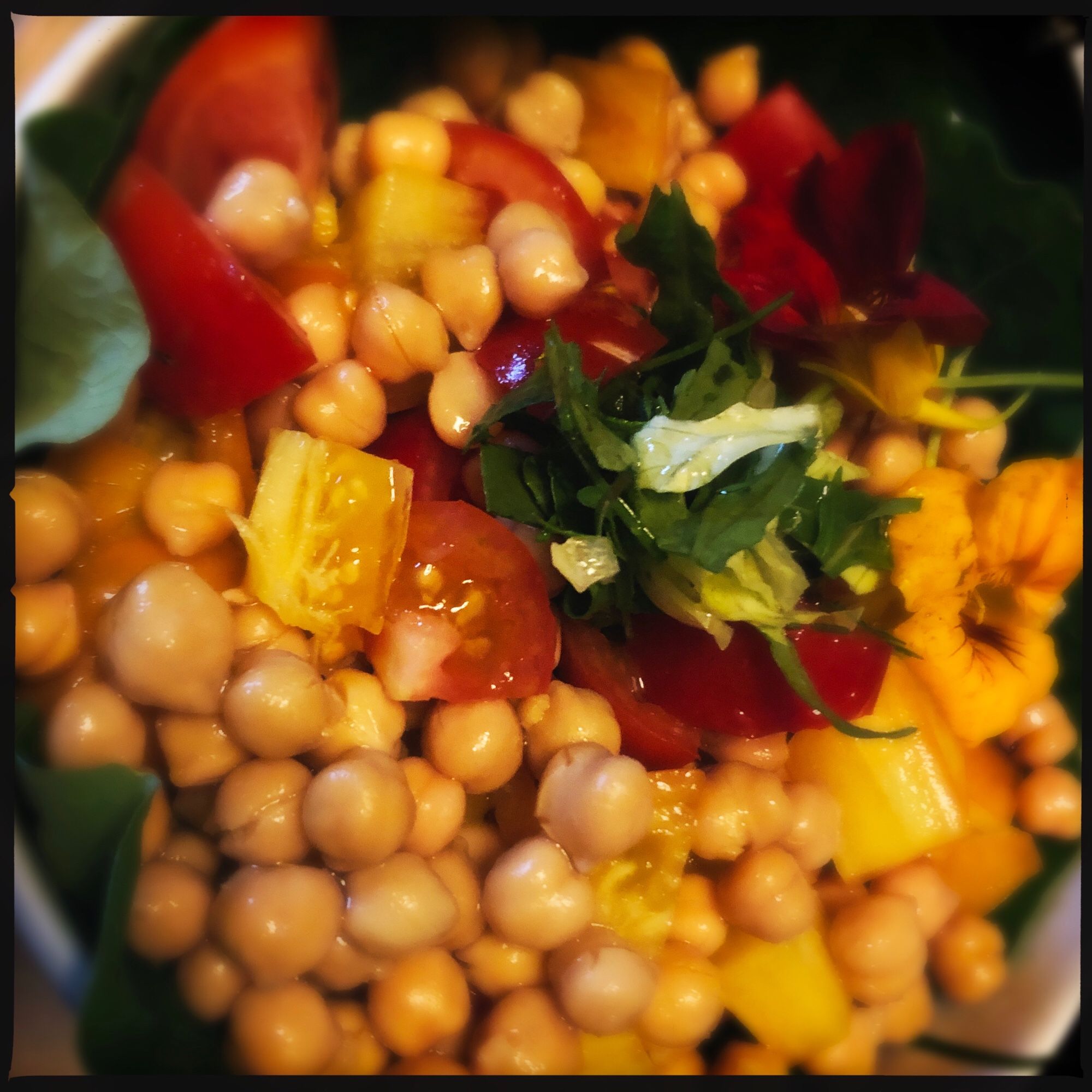 Verschiedene Blattsalate mit bunten Tomaten (Gelb Rot) Kichererbsen und Kapuzinerkresseblüten