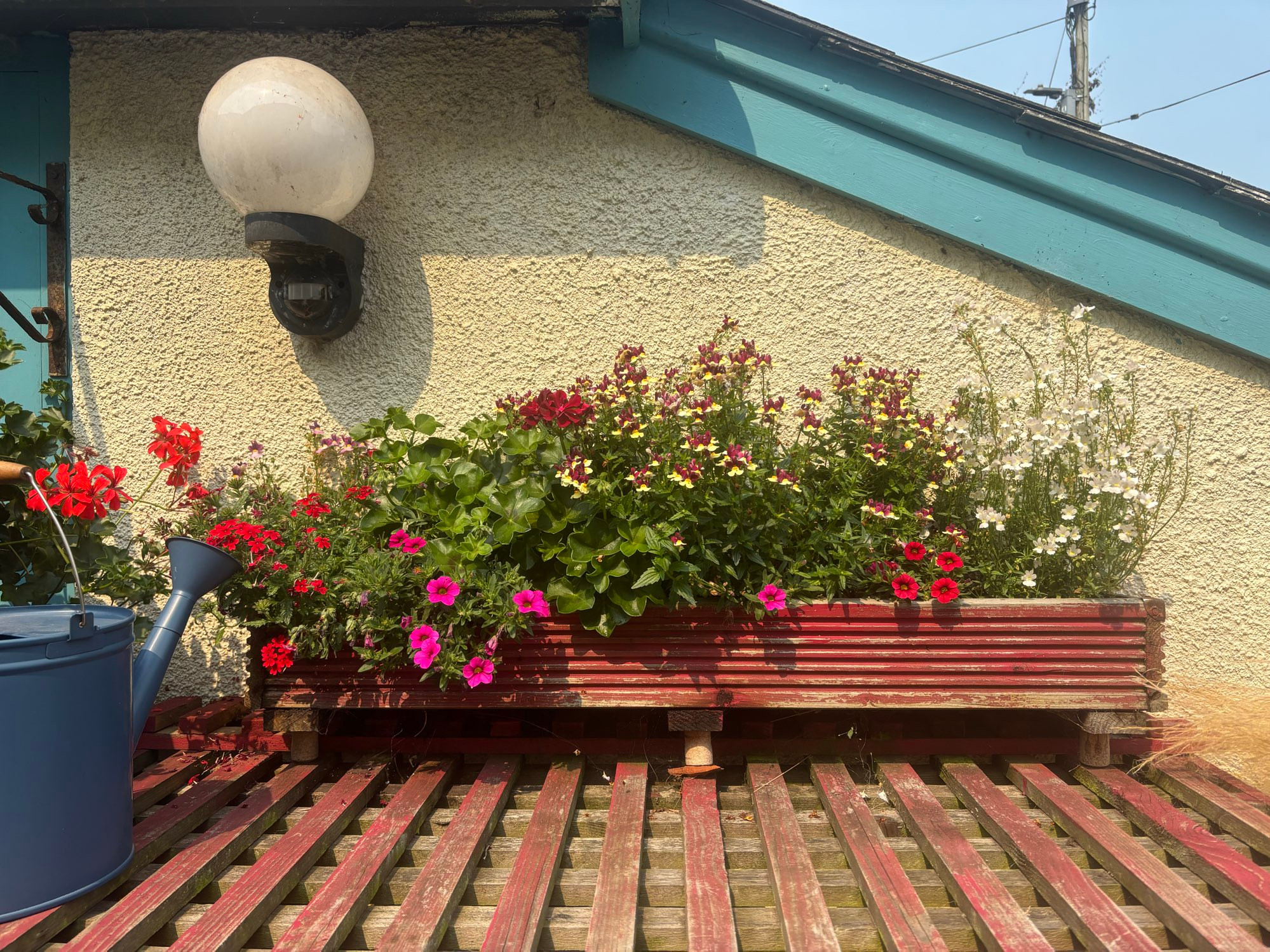 A colourful window box
