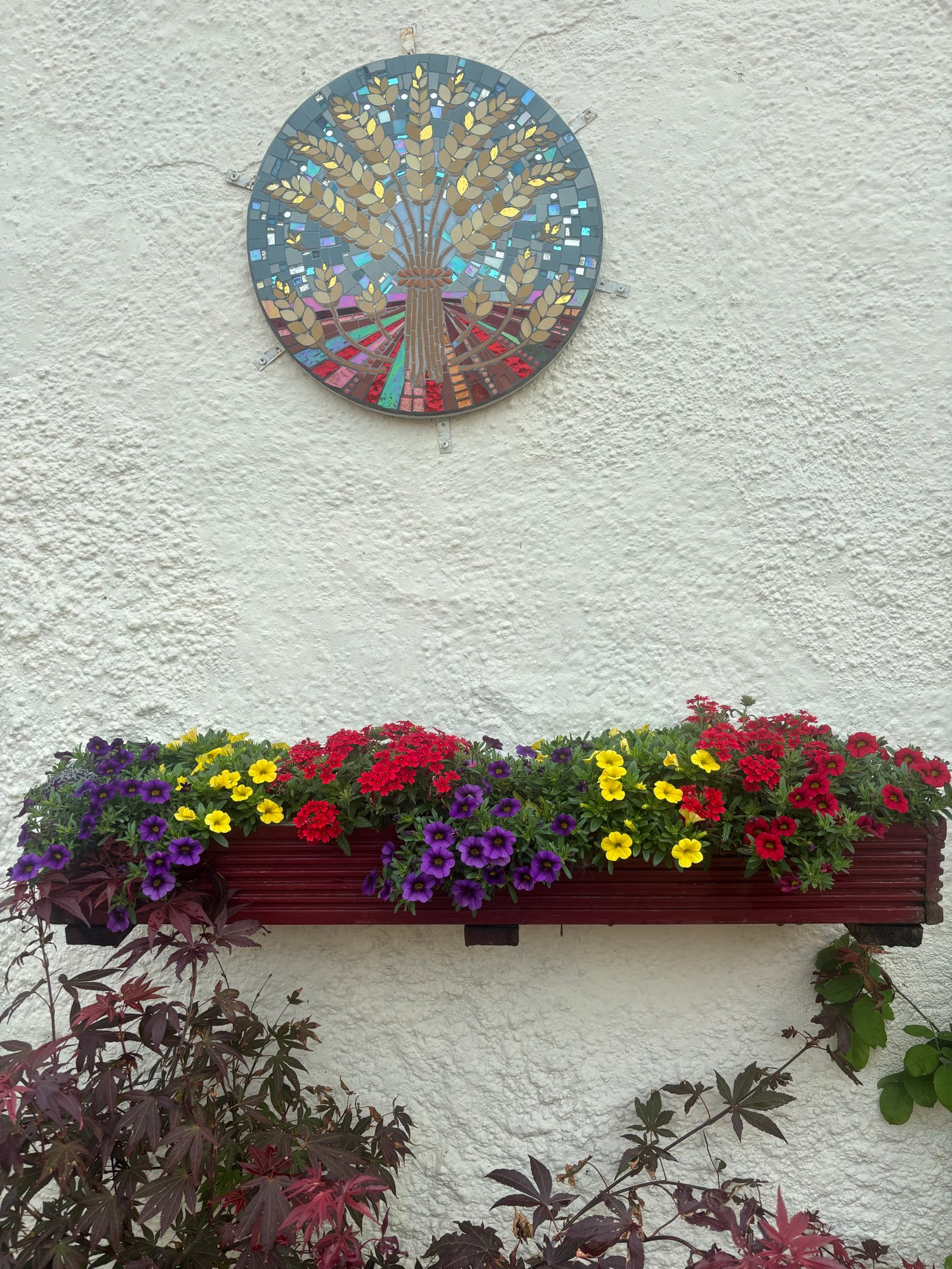 A wall planter with vivid flowers 