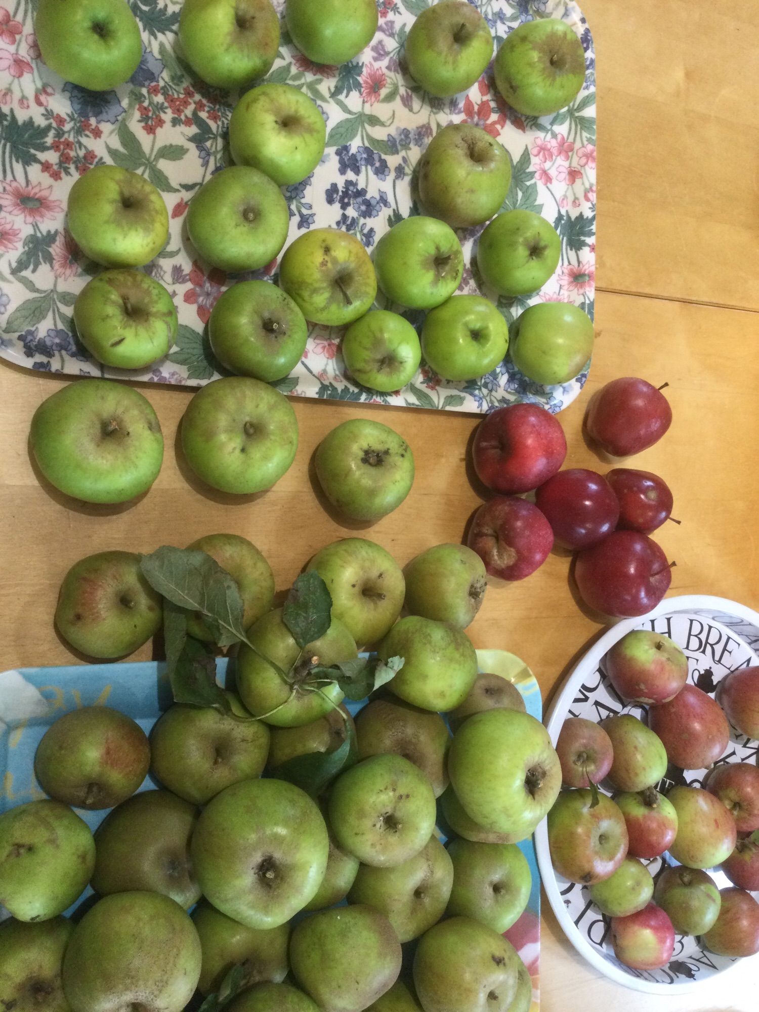 A table full of different variety apples.