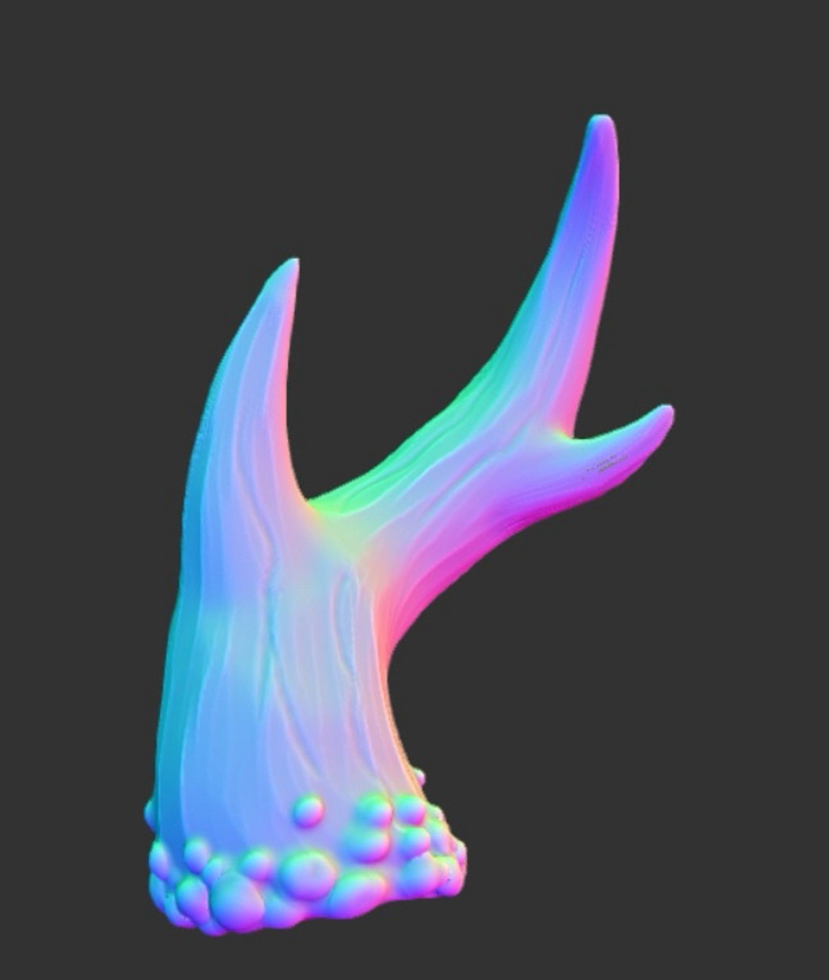 3D model of a small deer antler, with many colors illuminating it from different angles.