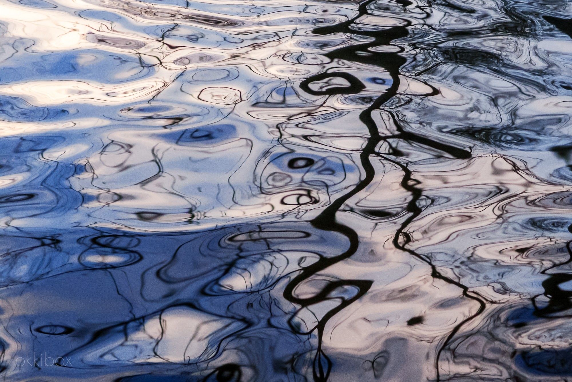 Een sterk kronkelend lijnenspel in zwart, blauw en wit door de weerspiegeling van kale takken en een koelblauwe winterlucht in het water.