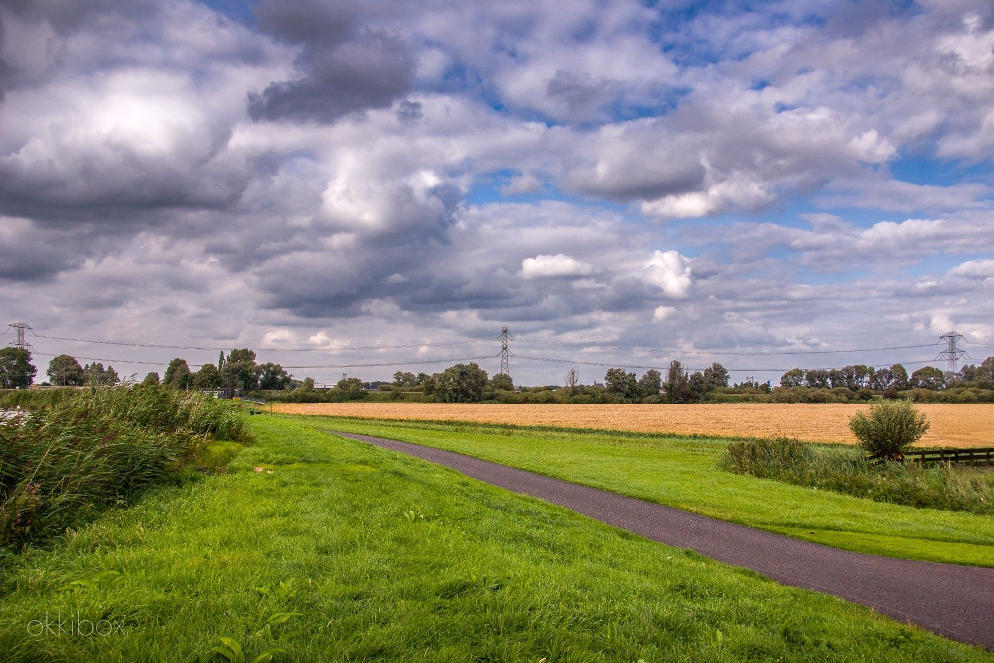 Een geasfalteerd fietspad langs een brede sloot met een hoge rietkraag en aan beide zijden van het fietspad ligt een flinke strook gras. Op de achtergrond zie je een pas gemaaid stuk geel grasland, een rij bomen en struiken en enkele hoogspanningsmasten. Rechts staat een kleine struik bij een hekje.