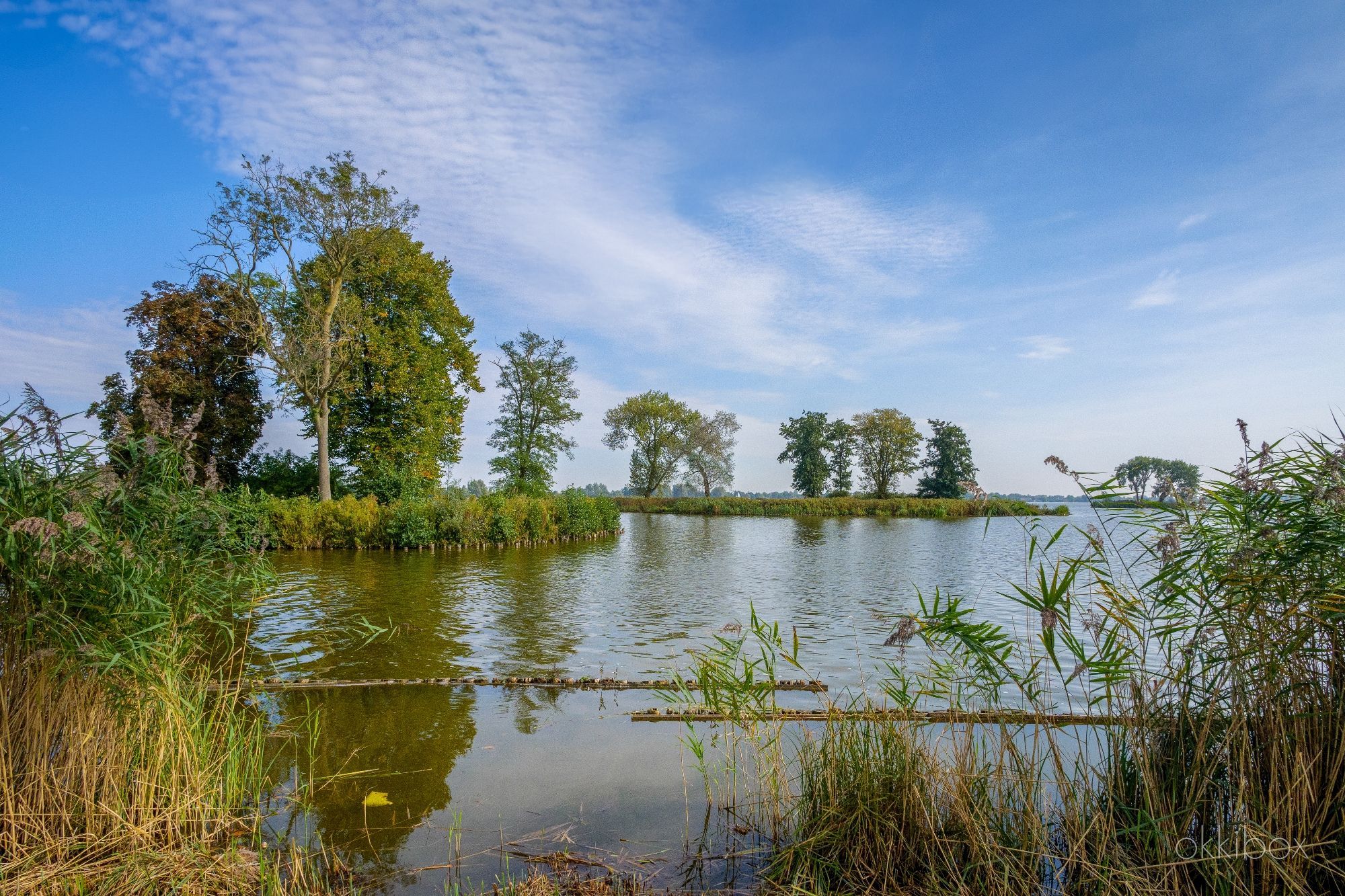 Kleine eilandjes met bomen en struiken in een grote plas. Op de voorgrond zie je een rietkraag en beschoeiing. De bomen kleuren al een beetje naar geel en bruin. Het is warm, de lucht blauw, maar de hoge bewolking verraden een spoedige weersomslag. Een uurtje later regende het. 

De Elfhoevenplas is een van de 13 Reeuwijkse plassen.