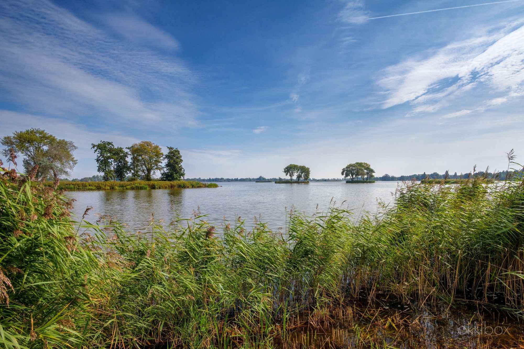 Kleine eilandjes met bomen en struiken in een grote plas. Op de voorgrond zie je een rietkraag. Het is warm, de lucht nog een beetje blauw, maar de wolken verraden een spoedige weersomslag. Een uurtje later regende het. 

De Elfhoevenplas is een van de 13 Reeuwijkse plassen.