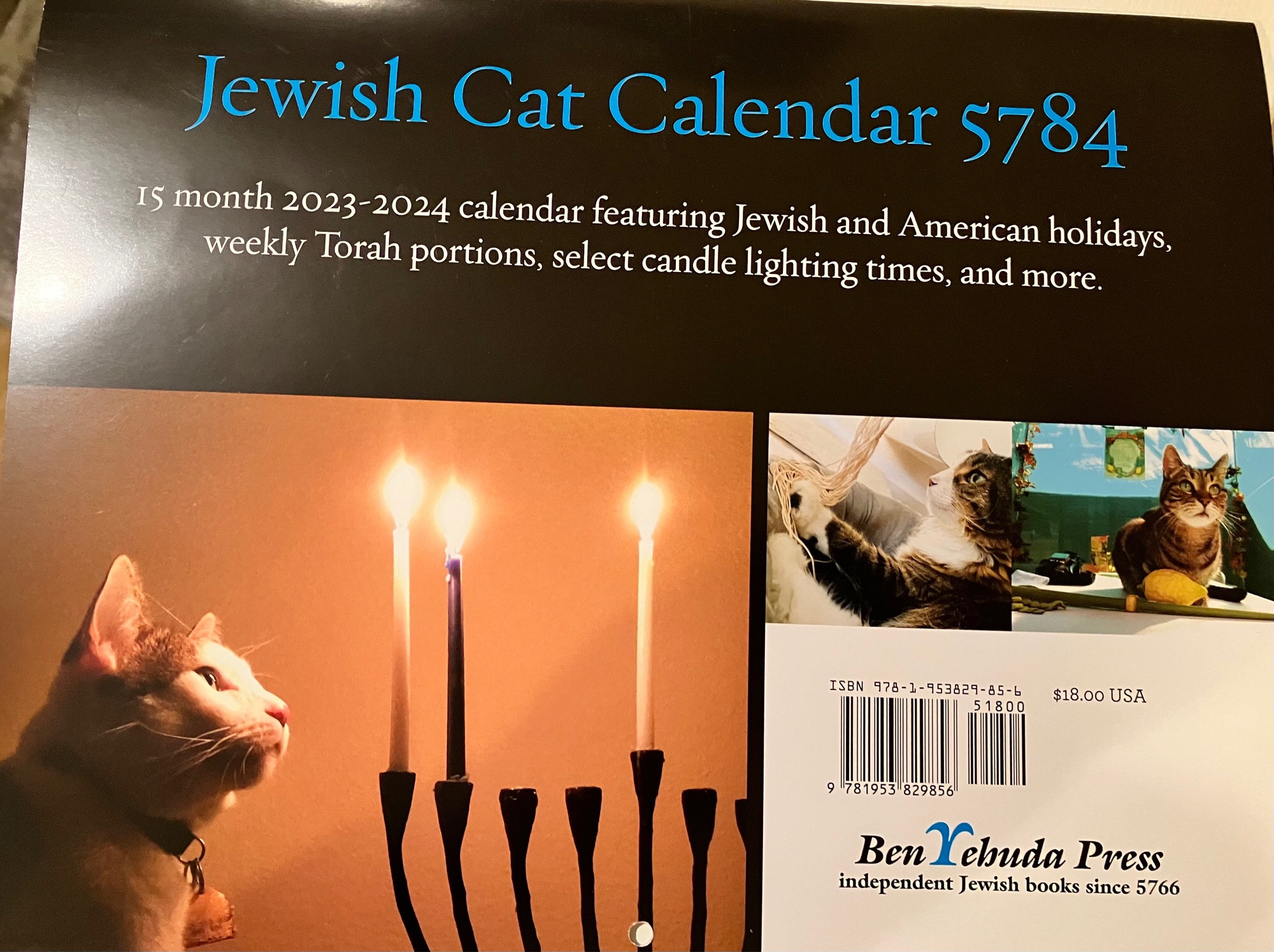 The back cover of the calendar. It shows a photo of my handsome boy looking at the lit hanukiah. There are also two smaller photos of equally handsome cats. In one photo, a cat is playing with the fringe of a tallit and in the the other photo, a cat appears to be sitting in a sukkot. It also reads Ben Yehuda Press independent Jewish books since 5766.