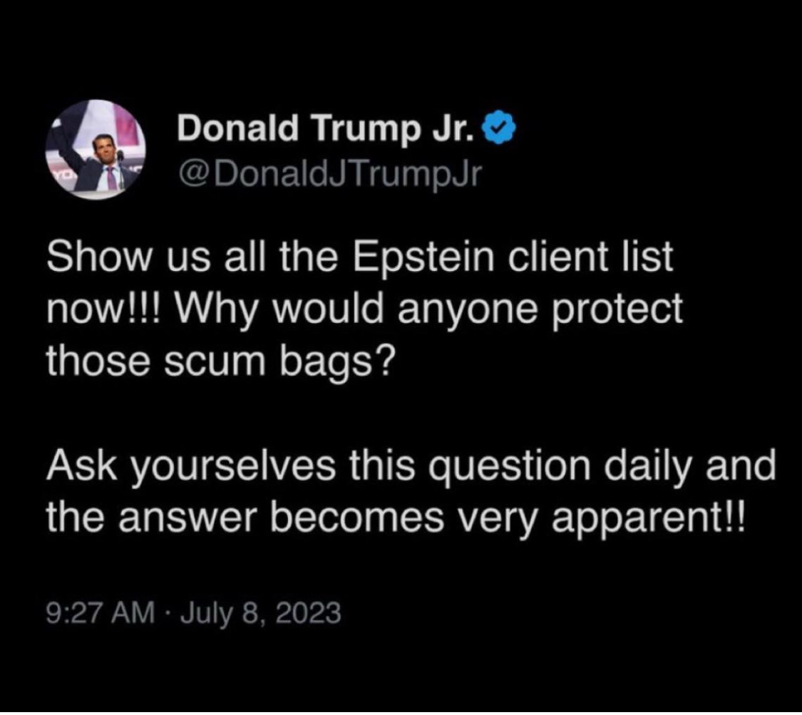 Post of Donald Trump Jr on X posted on July 8 2023: show is all the Epstein client list now!!! Why would anyone protect those scum bags?
Ask yourselves this question daily and the answer becomes very apparent!!