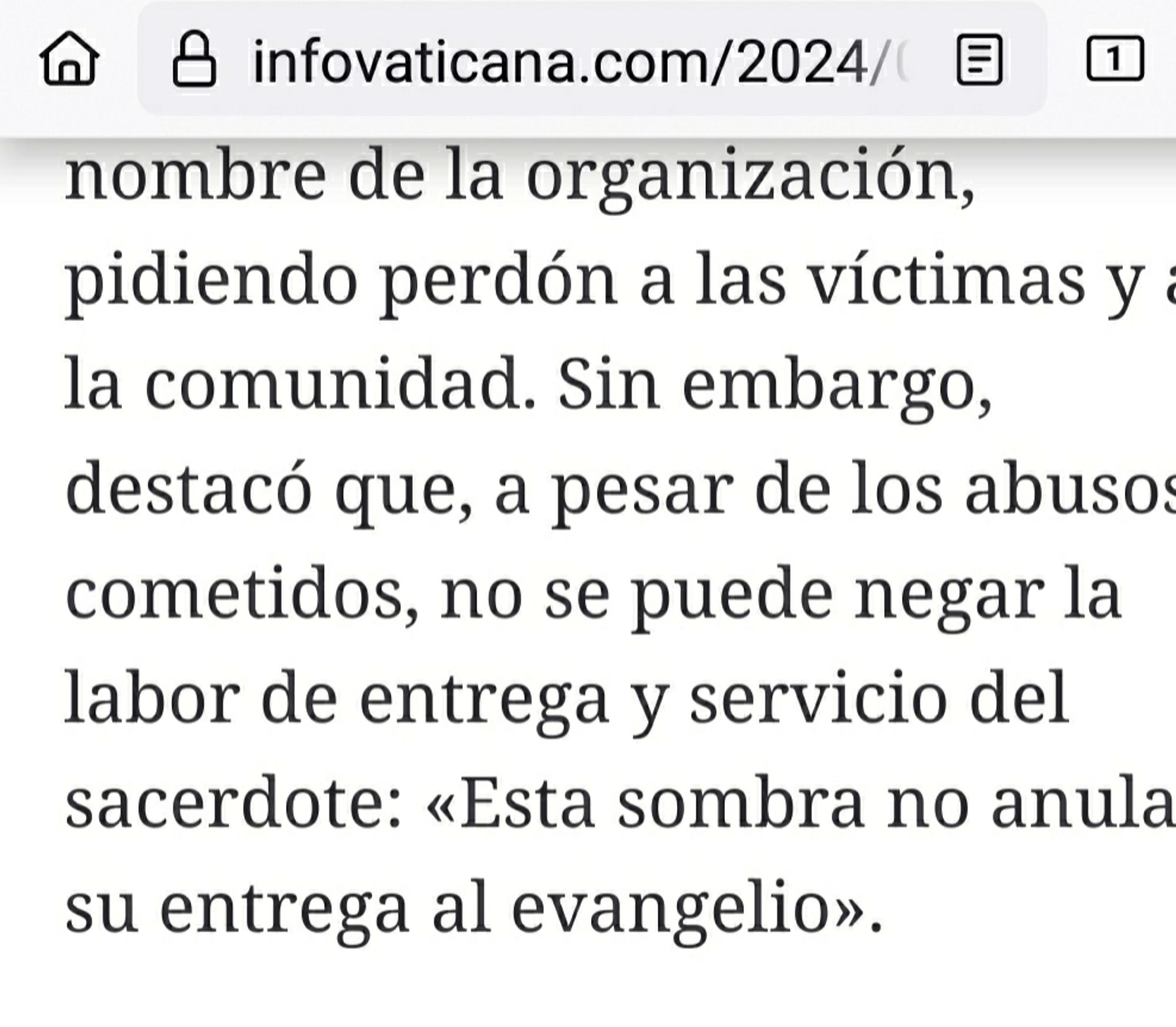 Comentario del actual Provincial de los jesuitas:
Sin embargo, destacó que, a pesar de los abusos cometidos, no se puede negar la labor de entrega y servicio del sacerdote: «Esta sombra no anula su entrega al evangelio»