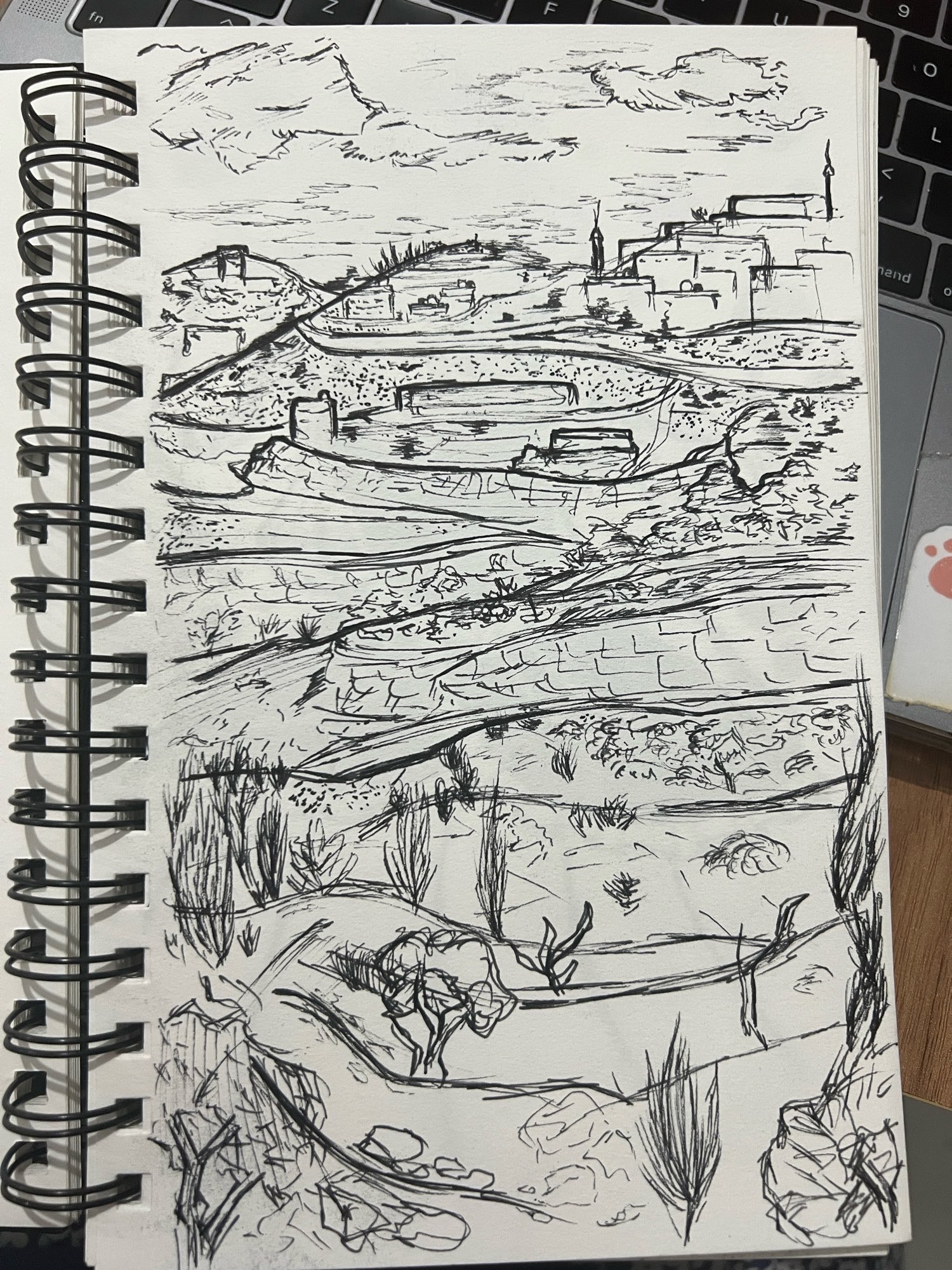 A pen sketch of the Palestine mountainside done in black ink 