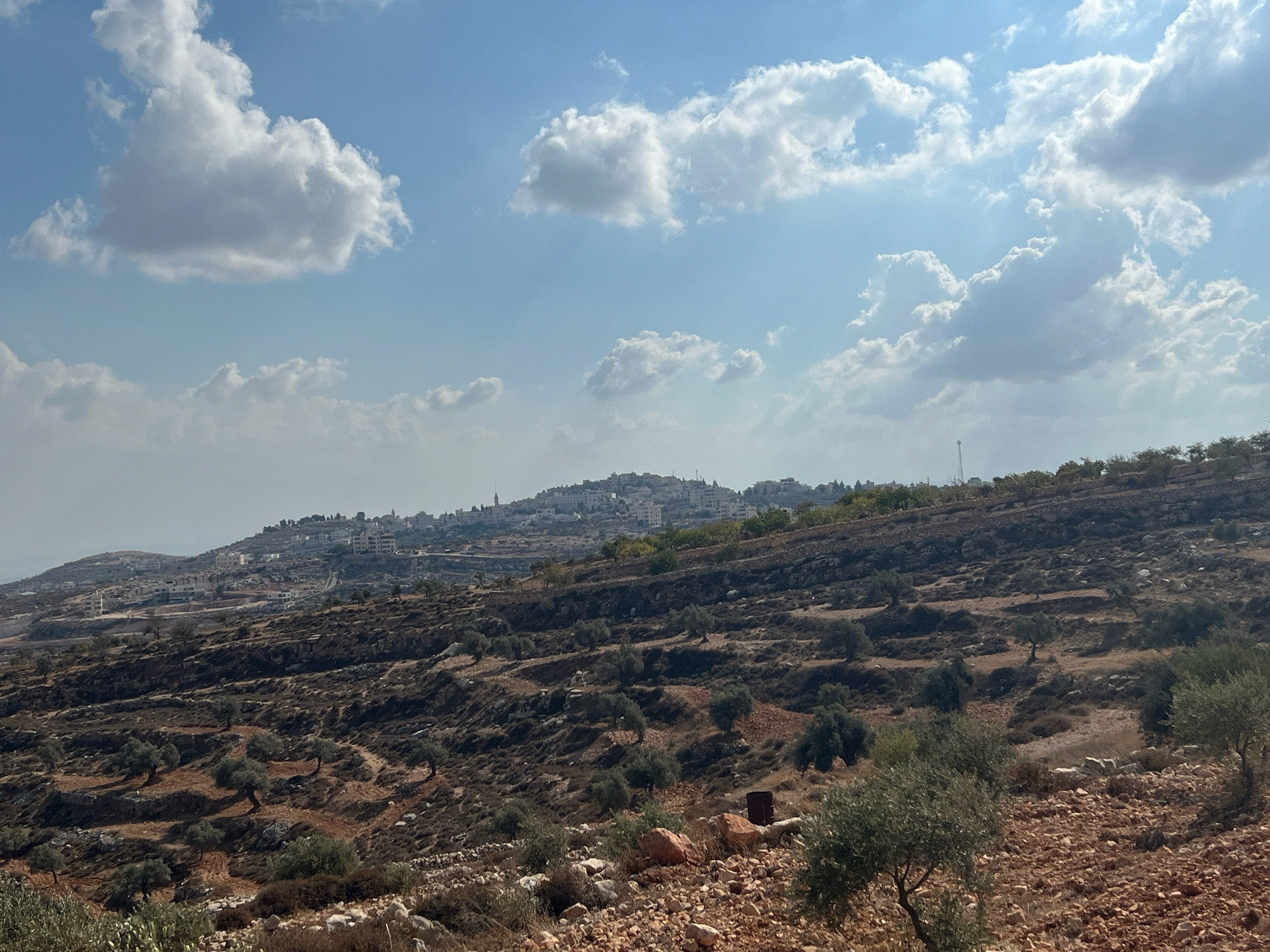 A photo of the Palestinian mountainside with a view of the village named Taybeh