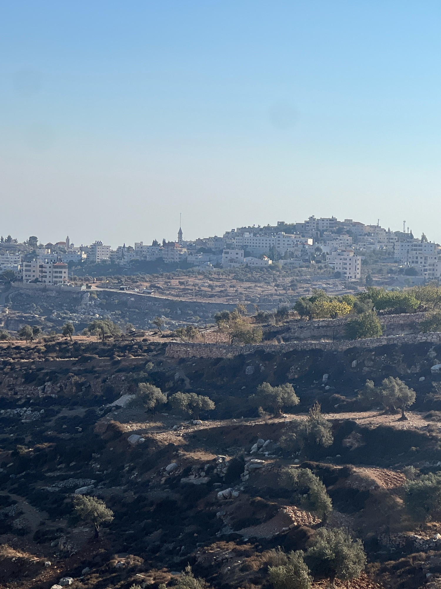 A photo of the Palestinian mountainside with a view of the village named Taybeh