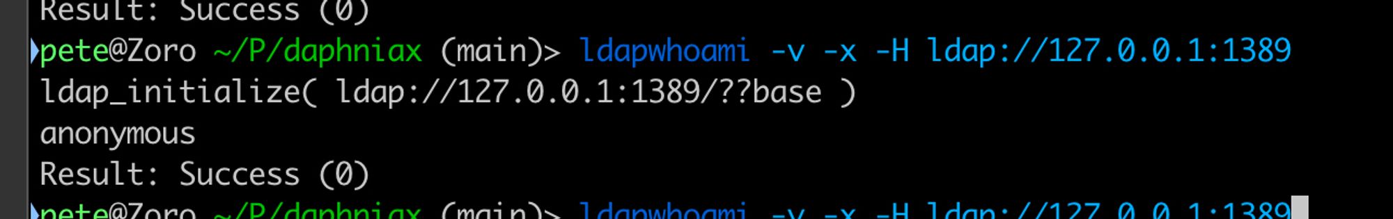 A screen grab of me running the unix LDAP who am I  command, and getting back a valid response, from the code running via the web page