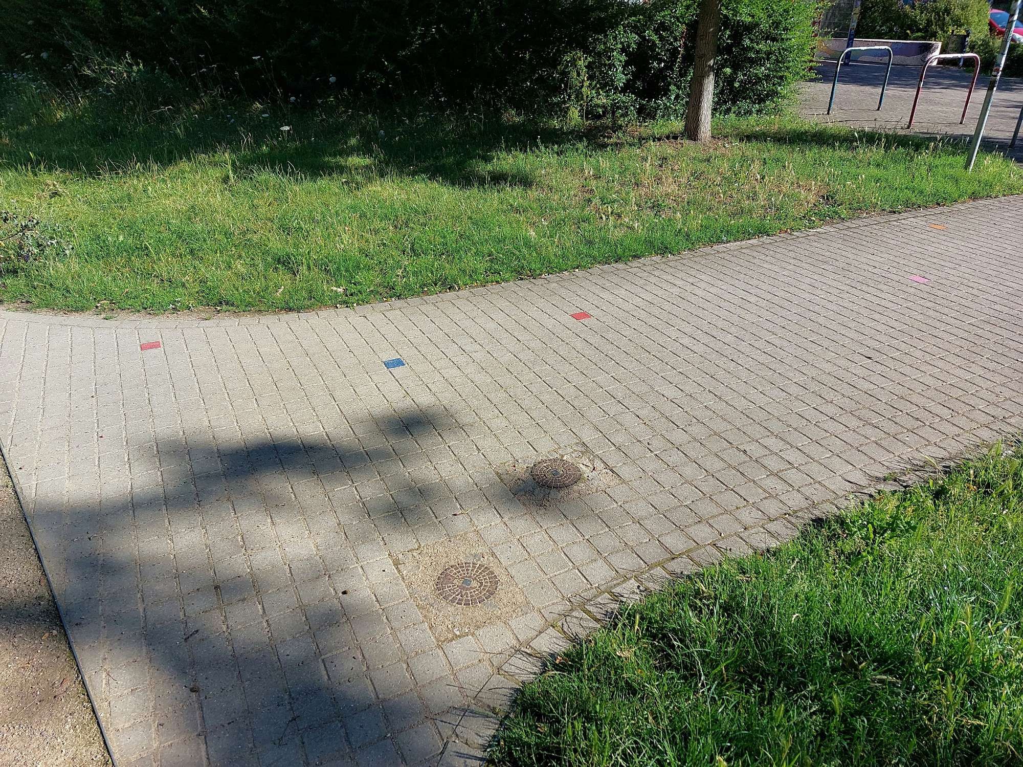 In Rot, Blau, Rosa und Orange einzeln lackierte Pflastersteine am Connewitzer Kreuz auf einem Gehweg. Drumherum ist Wiese und der Basketballplatz.