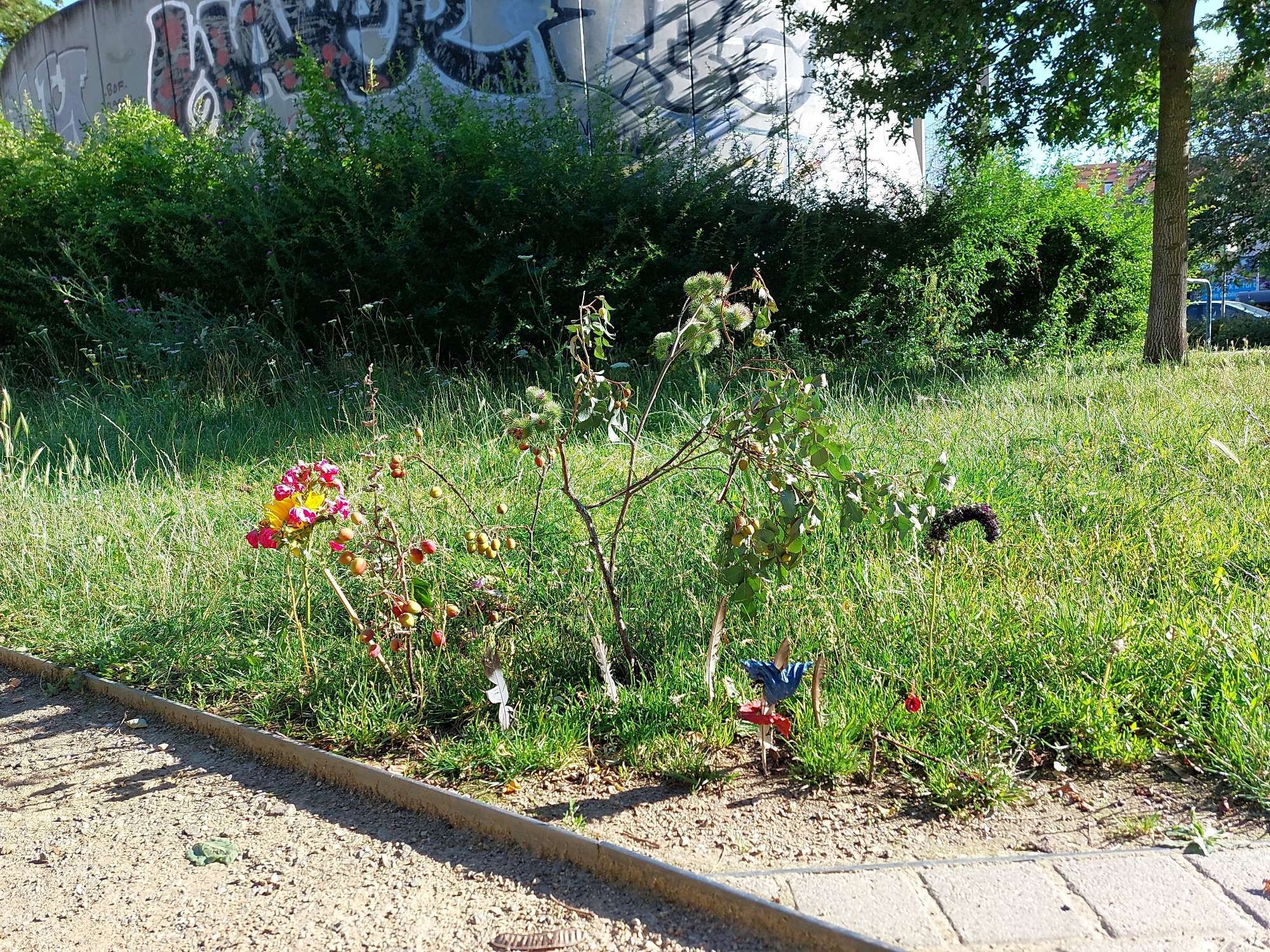 Eine Ecke mit Wiese am Connewitzer Kreuz hinter dem Basketballplatz. Dort stecken Federn, bunte Blumen, Äste mit Wildbeeren und ein Distelzweig im Boden. Die eine Feder trägt 2 in blau, rot und orange angemalte Blätter.