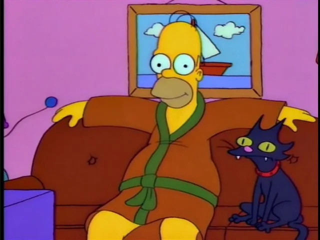 Homer Simpson, in his signature brown-and-green bathrobe