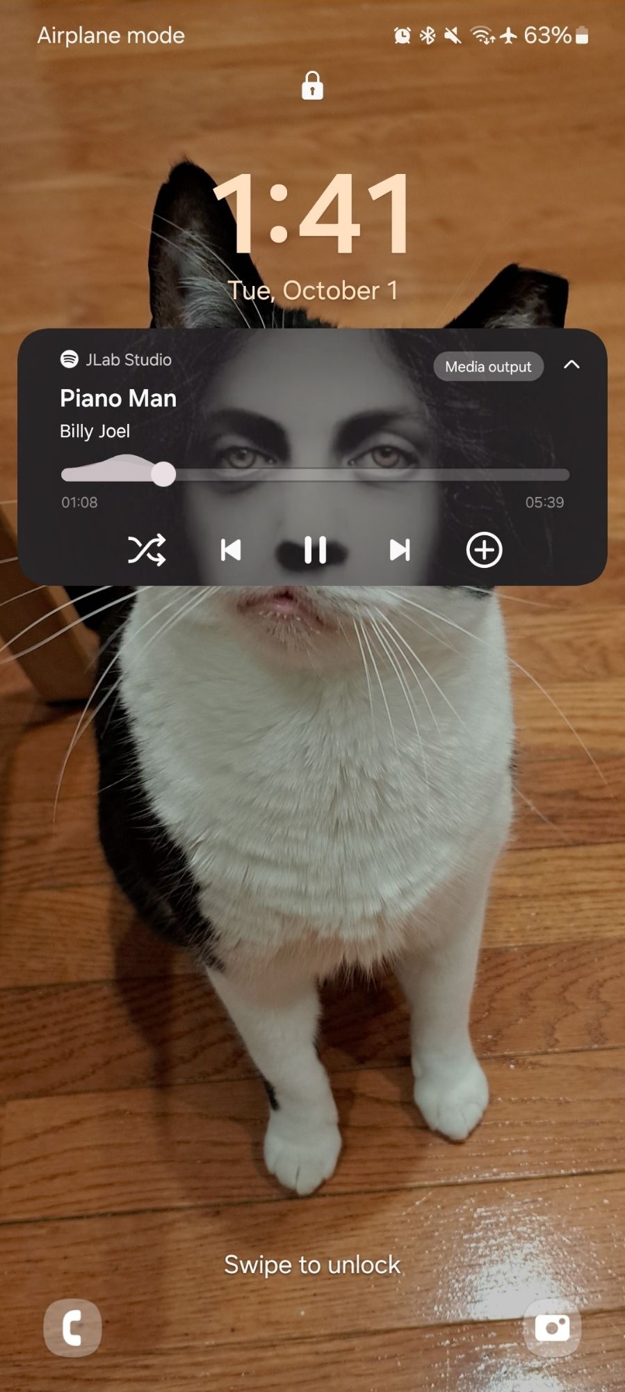 A photo of Jeffs Cat, Carla Tortelli, except her face exactly lines up with Billy Joel's face from the cover to the single PIANO MAN

Billy Joel-faced cat