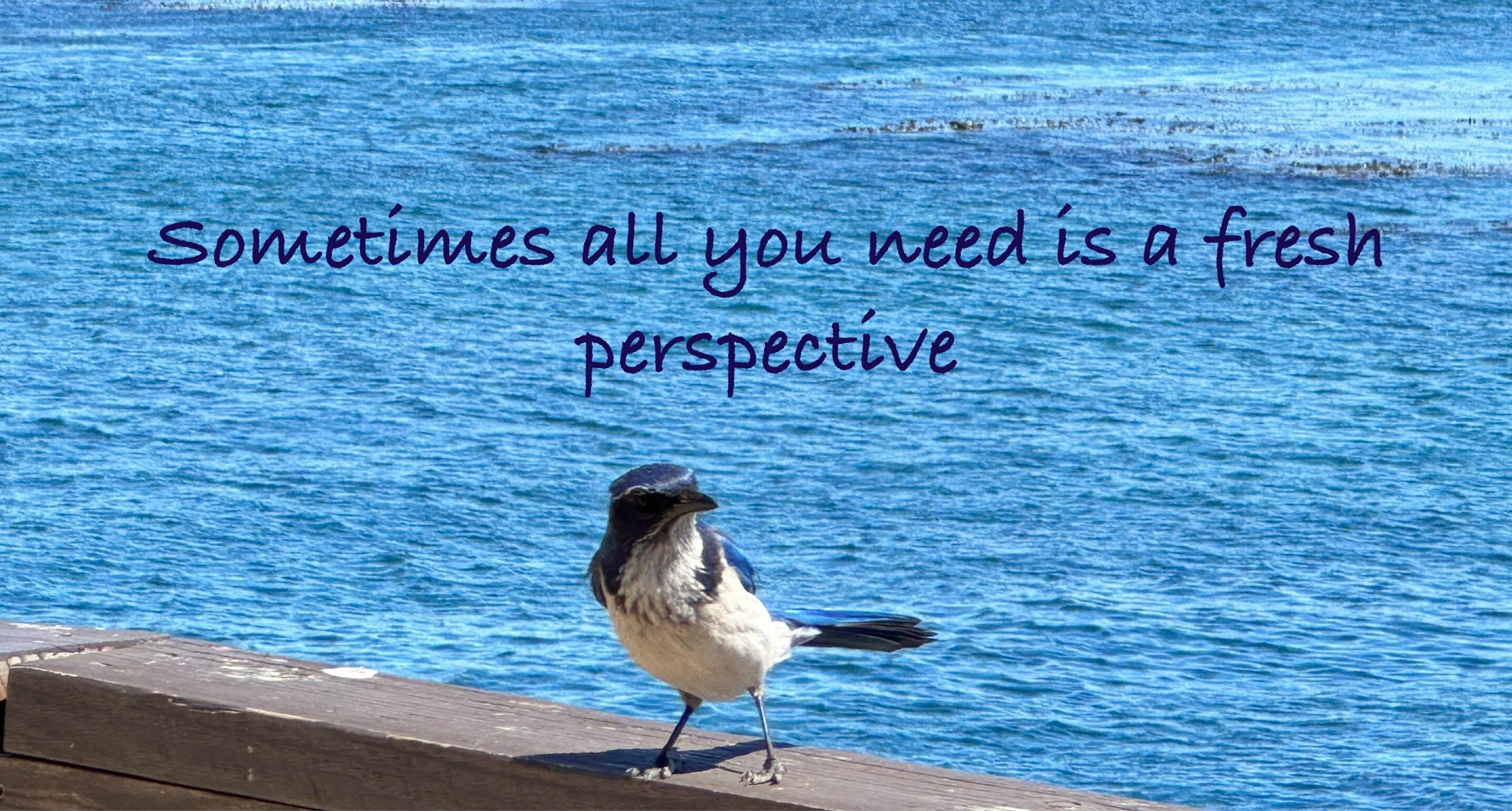 A small bird standing confidently on a wooden railing with a vast blue ocean in the background, symbolizing a fresh perspective and new beginnings.
Español 
Un pequeño pájaro de pie con confianza en una barandilla de madera, con un vasto océano azul de fondo, simbolizando una nueva perspectiva y nuevos comienzos.