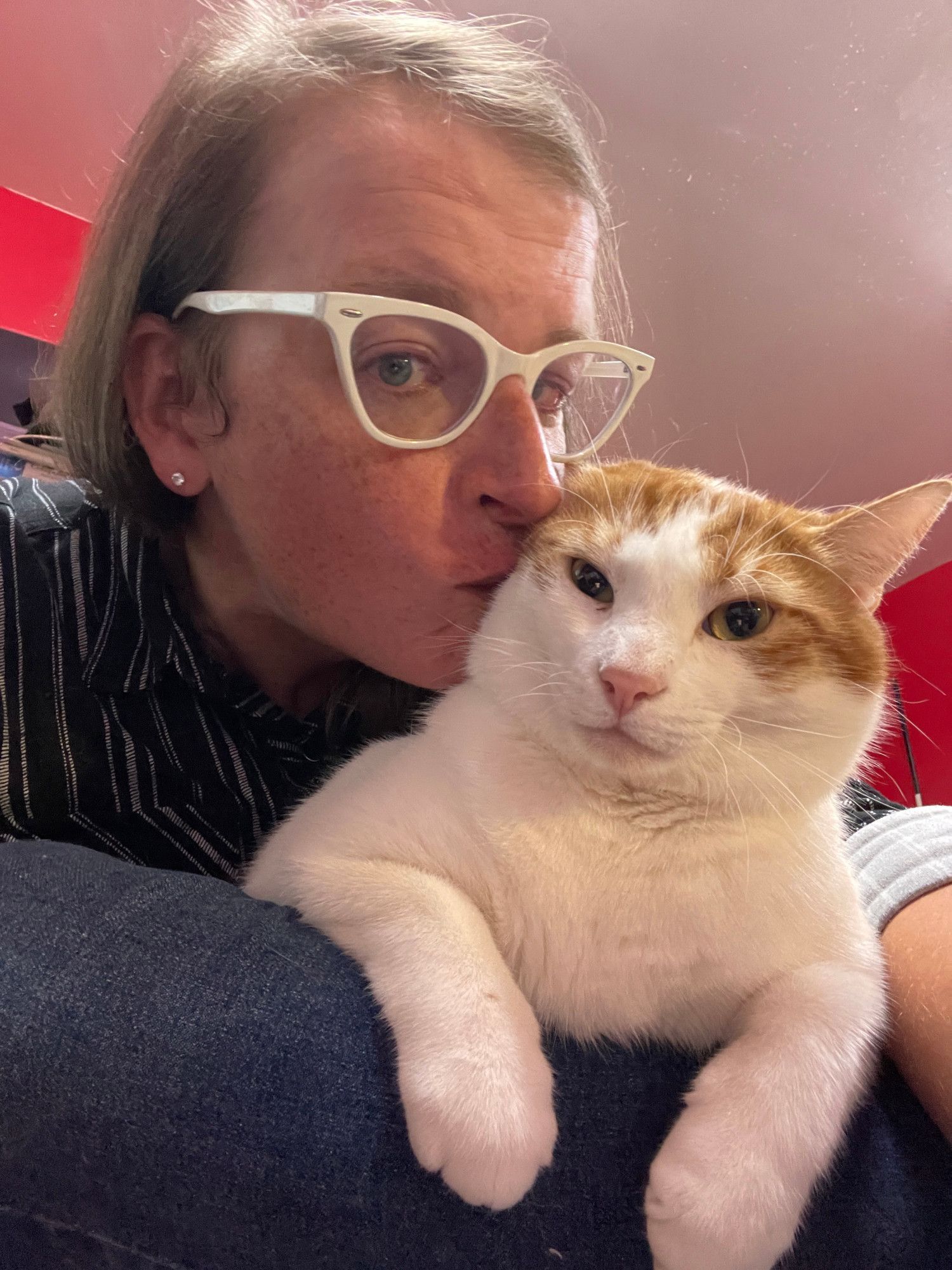 Oliver, an orange and white cat, is lying in Cailín's lap very patiently putting up with getting a big ol' smooch on his cheek