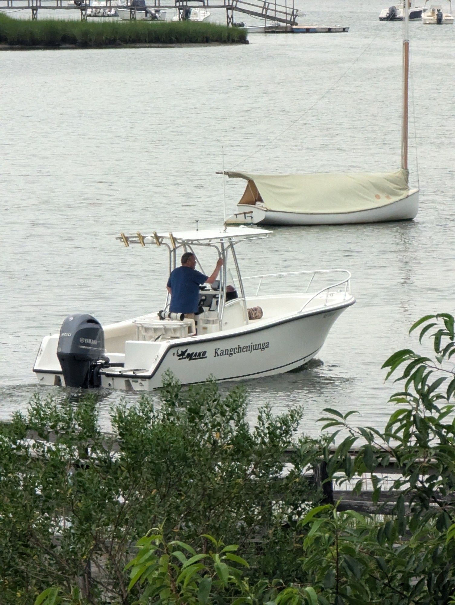 A pilot on a boat named Kachenjunga moved down a river.