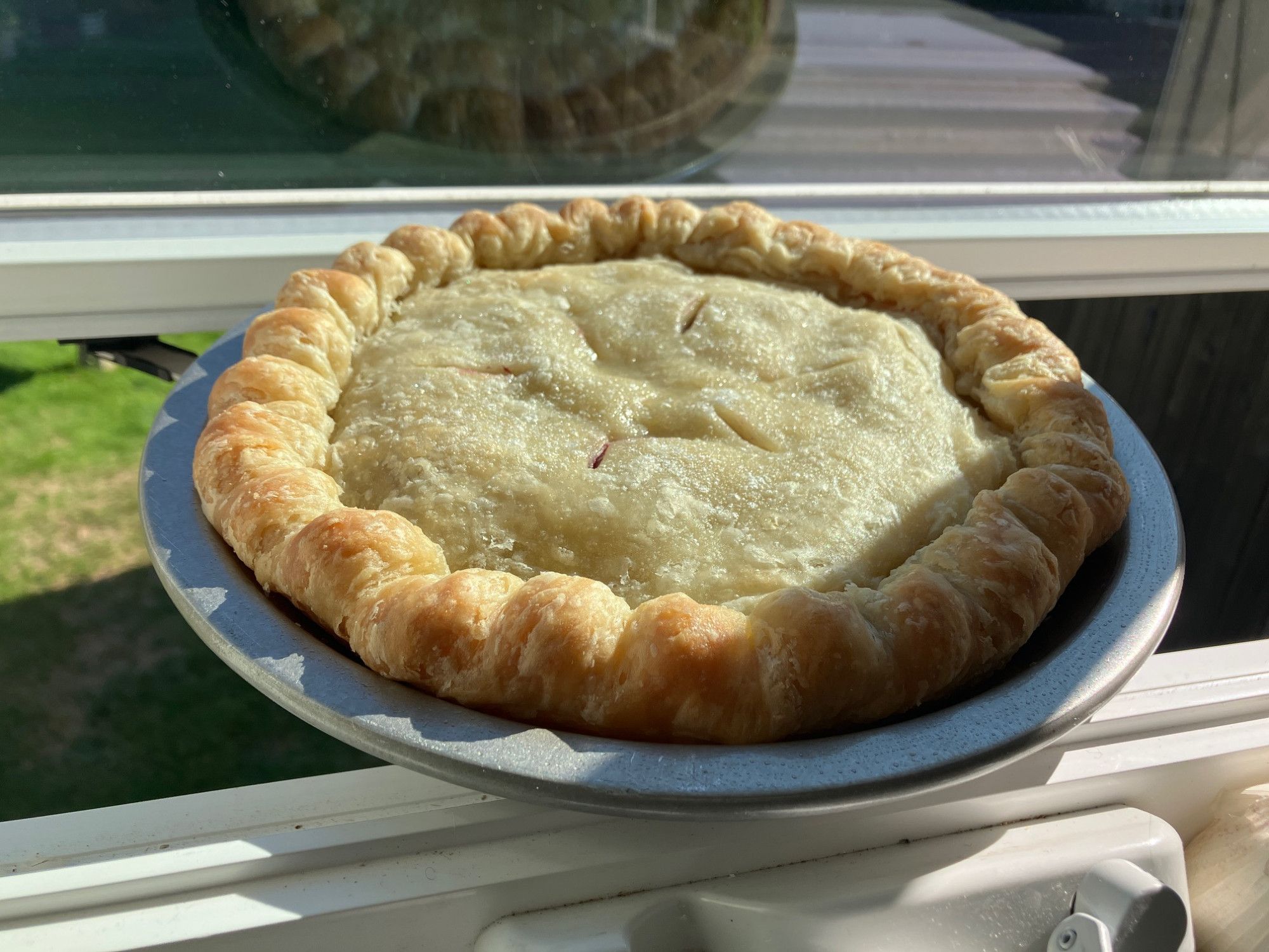 A freshly-baked pie in a metal pan, cooling on a windowsill overlooking a grassy backyard. Its crust is rolled thick and toasted golden-brown at the edges. The top crust has a buttery translucence and the sheen of melted sugar. There is no way to know what kind of pie it is.