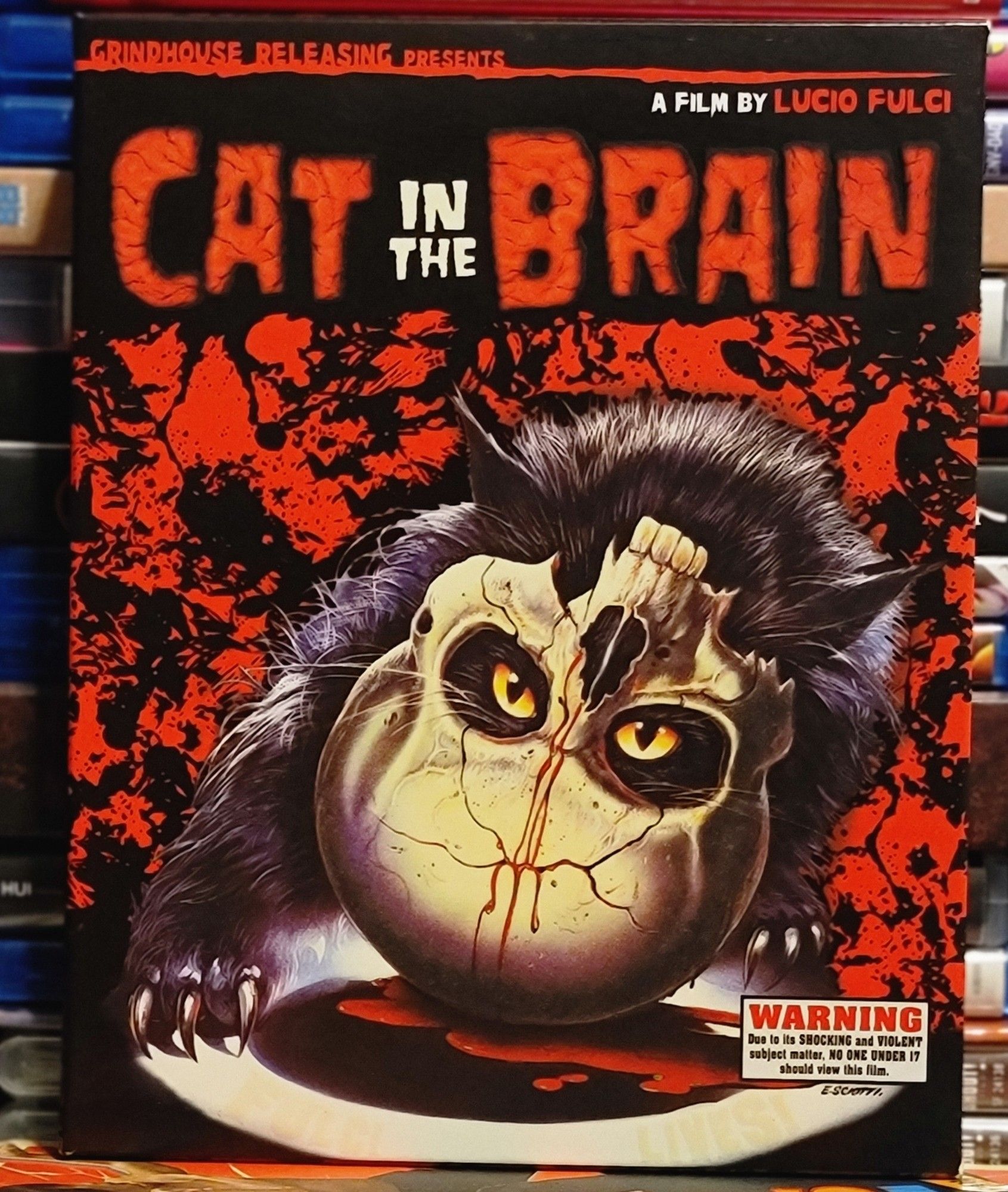 Blu ray cover for Cat in the Brain. It shows an artistic depiction of an upside-down skull with a black cat behind it, its head stuck into the skull so its eyes are looking out through the skull's eye holes. 
There's a blood splattered background and a warning about violent content.