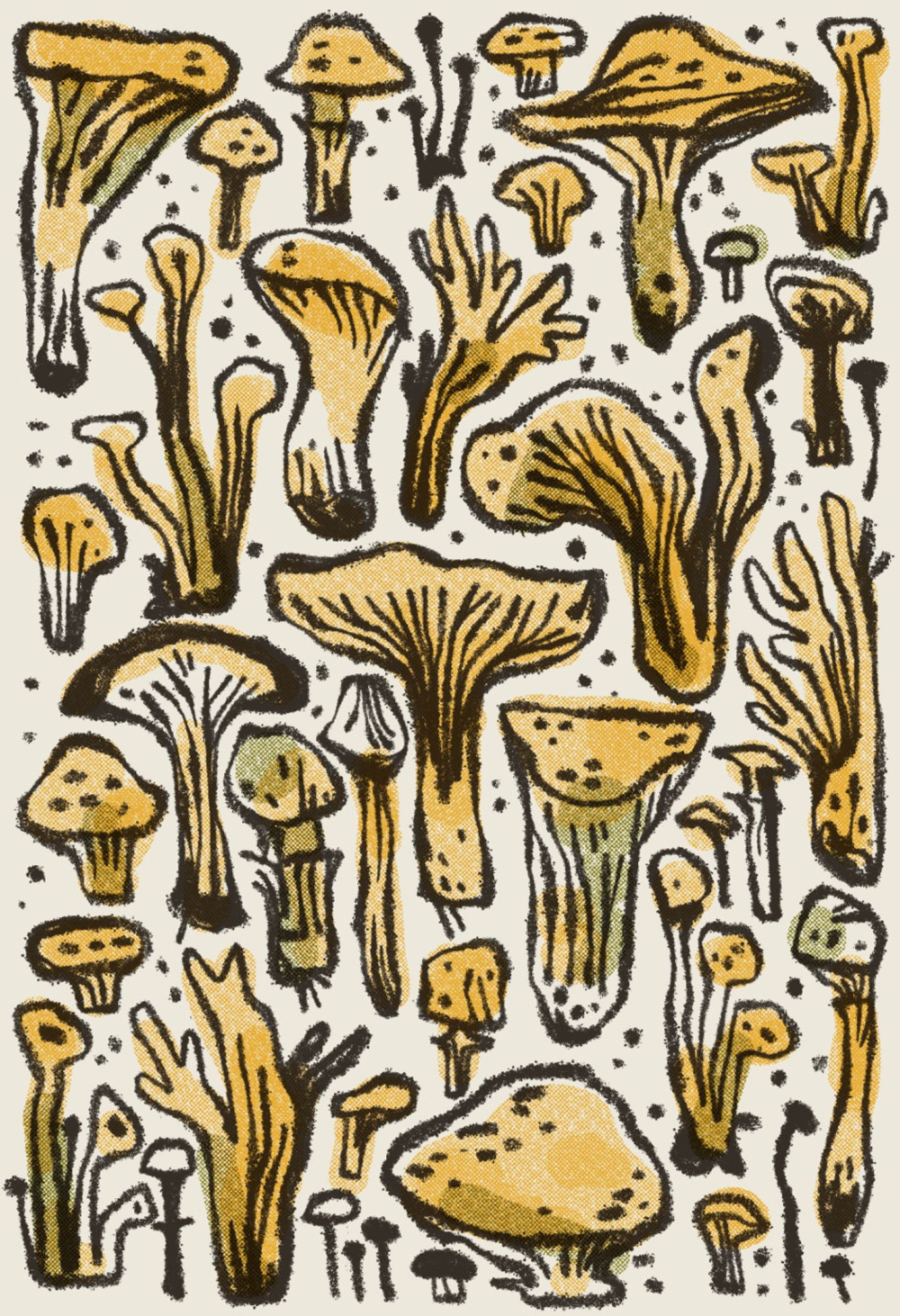 mushrooms