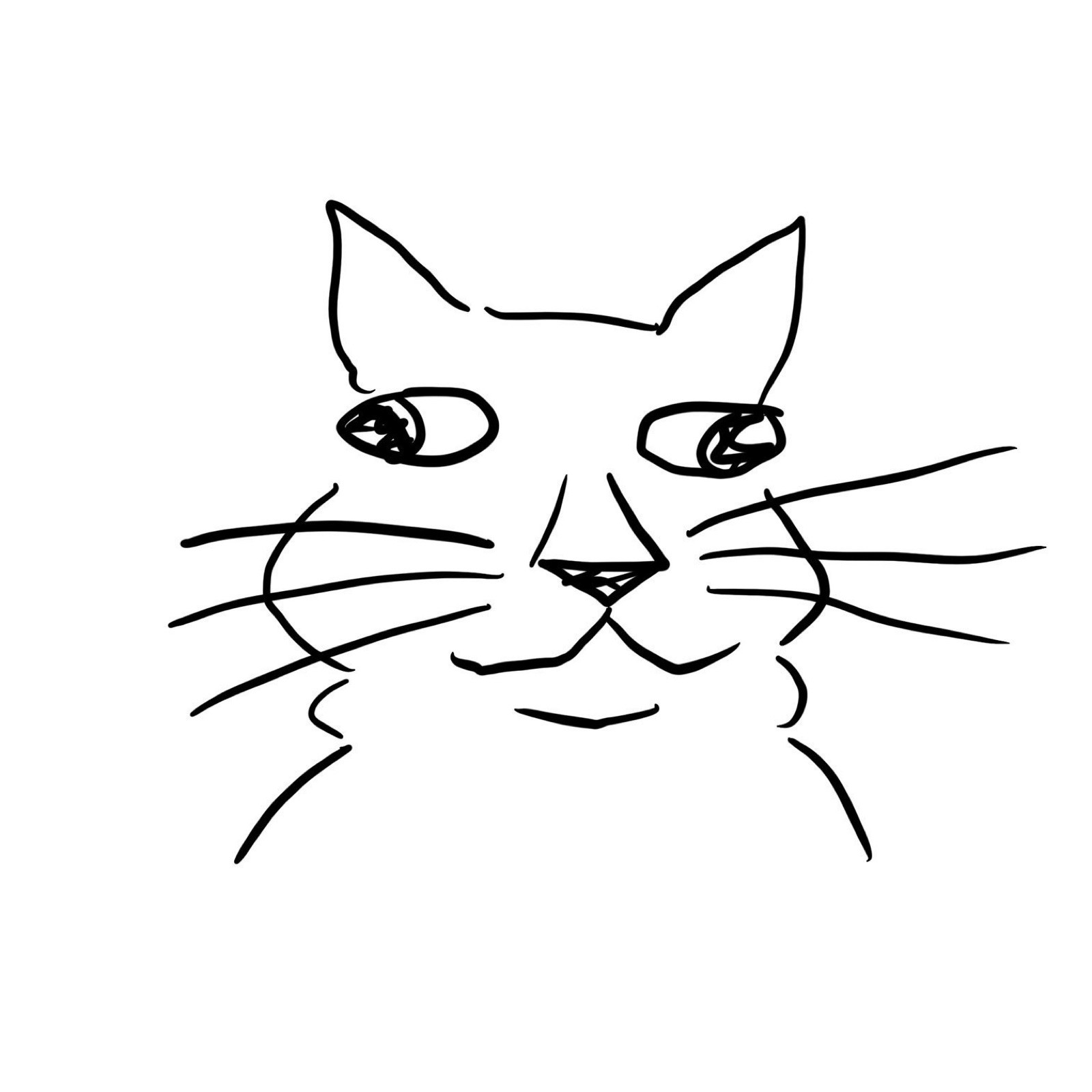 drawing of a cat but it looks really bad