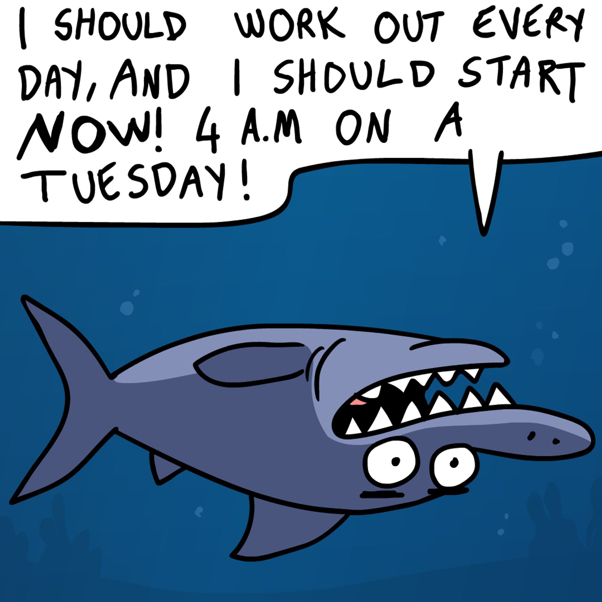 Funny shark decides do start working out 4am in the morning instead of sleeping