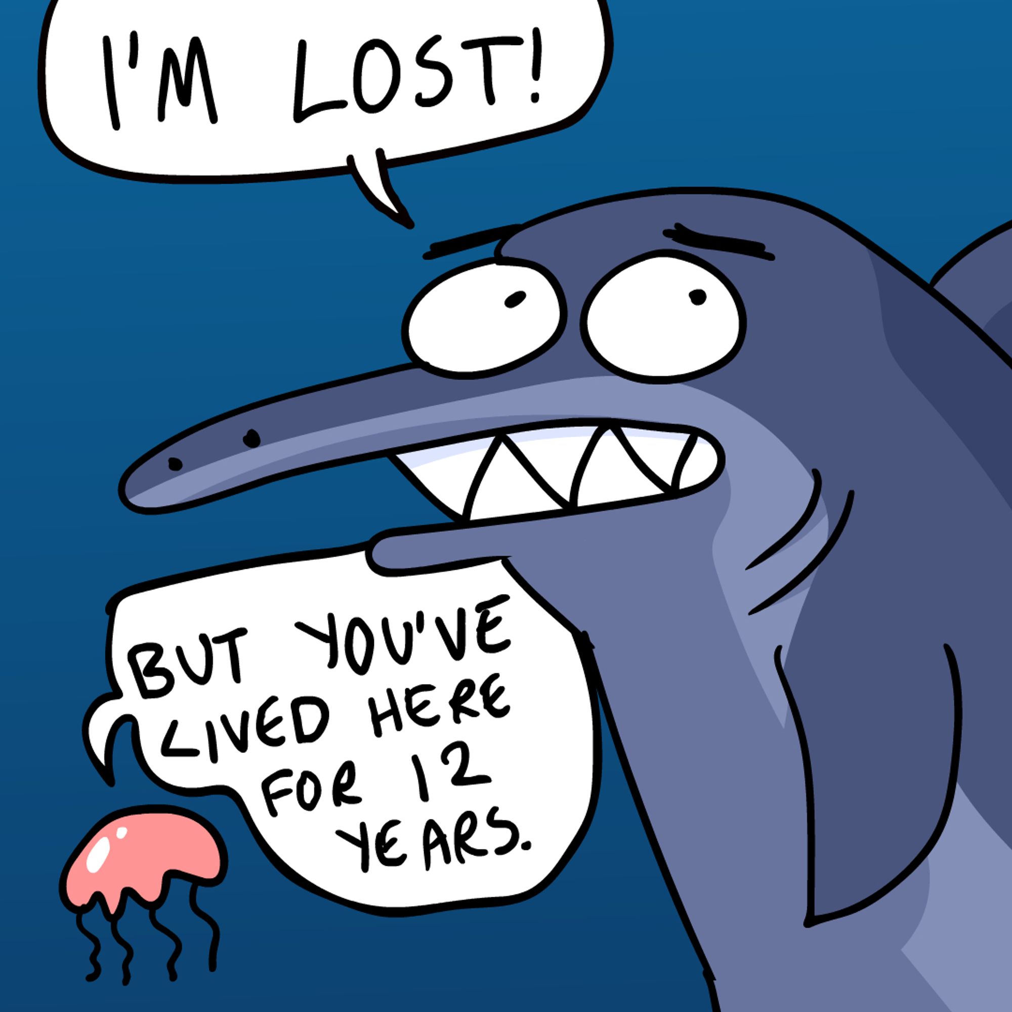 Funny shark: I'm lost!
Jelly fish: But you've lived here for 12 years!