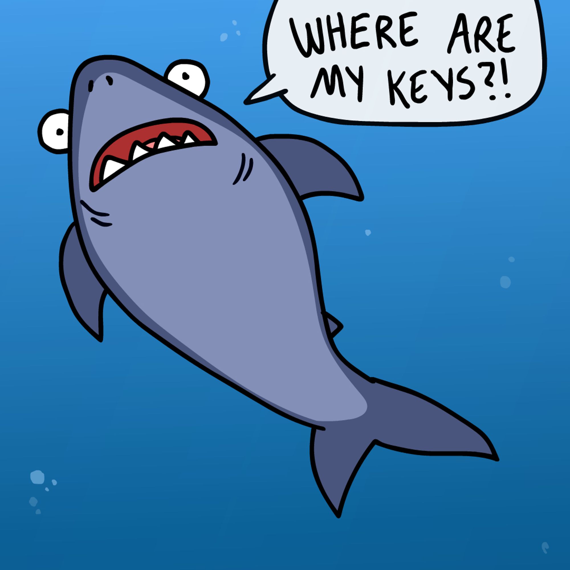 Confused funny shark says: Where are my keys?!