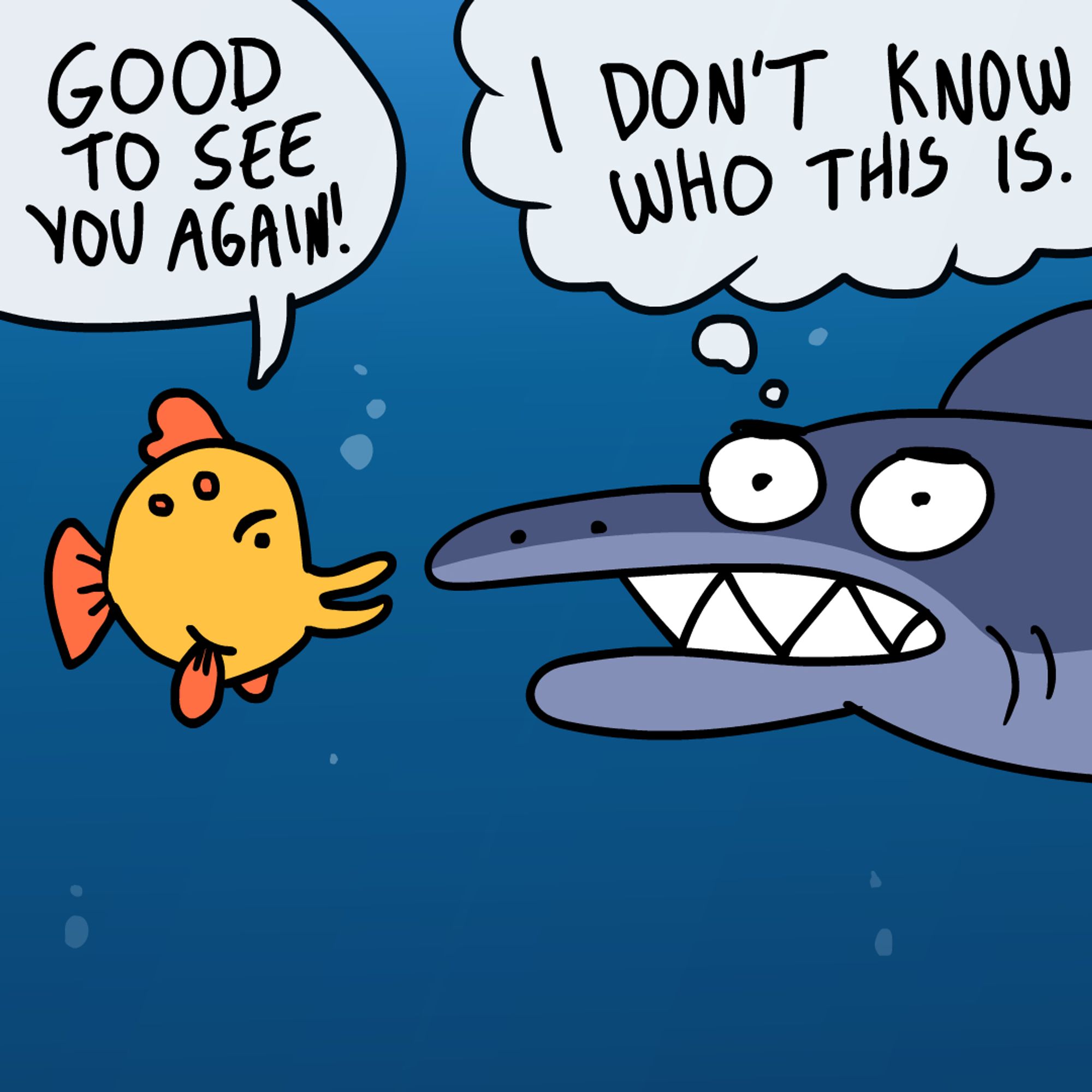 funny shark doesnt recognise a fish thats all "good to see you again!"