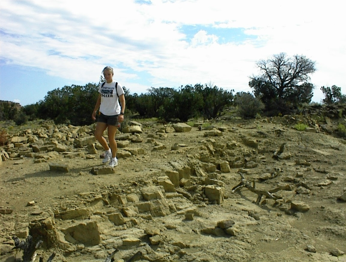 Mummer checking for fossils near Zuni Salt Lake, New Mexico

Long long ago