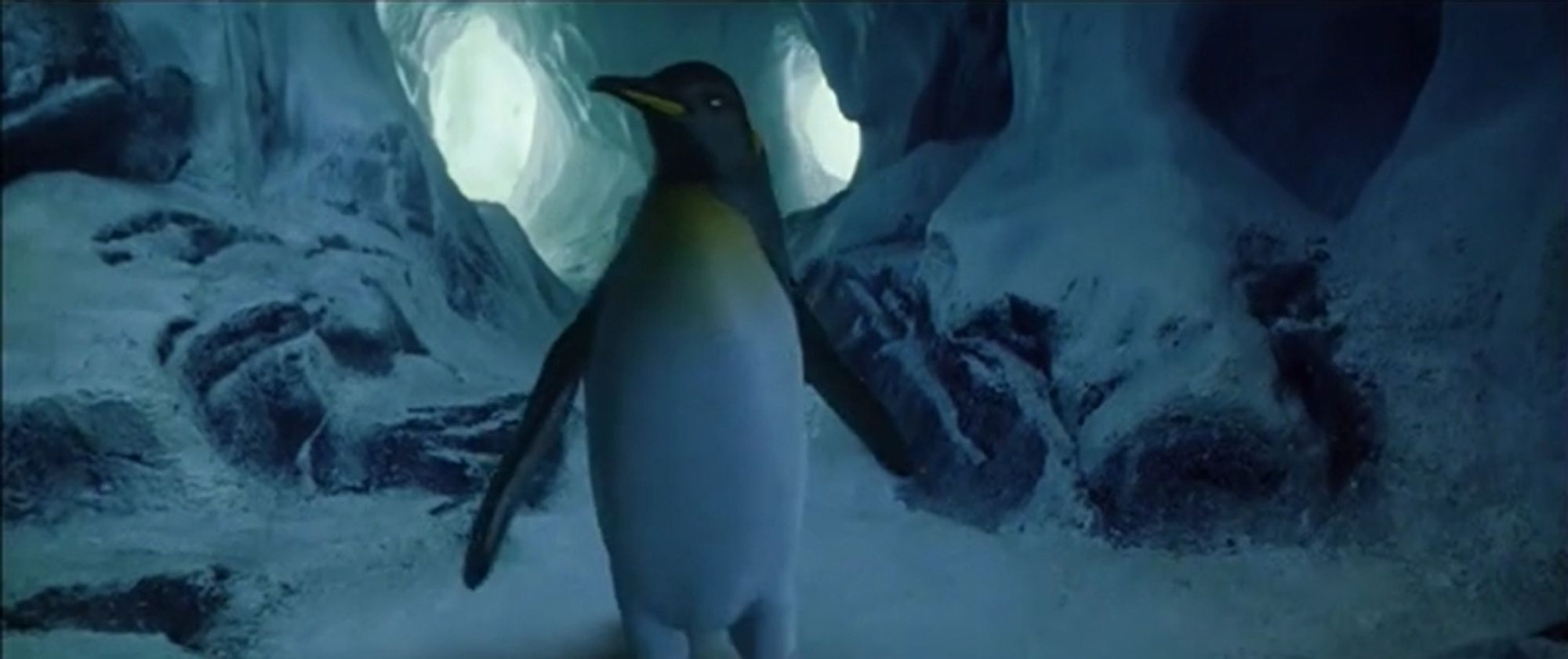 A penguin in an ice cave from the movie Fight Club