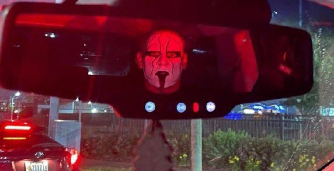 Sting looking into a rear view mirror at a red light