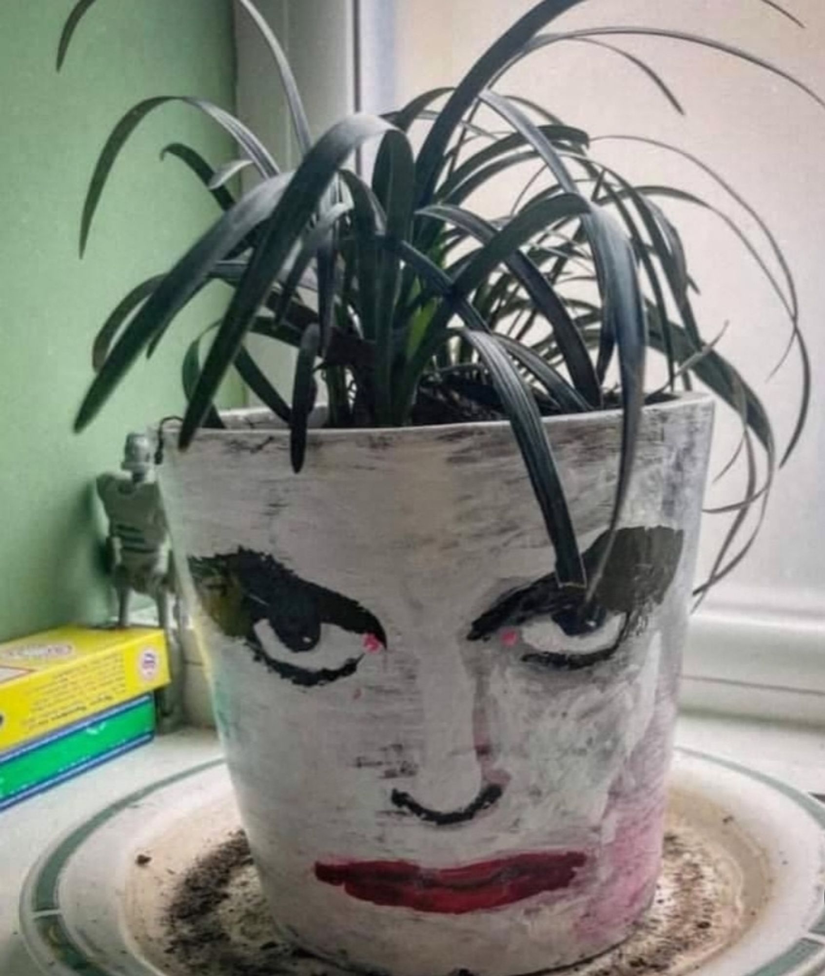 Maceta con una cinta (planta) pintada con la cara de Robert Smith de The Cure. Parece que la cinta es su pelo.