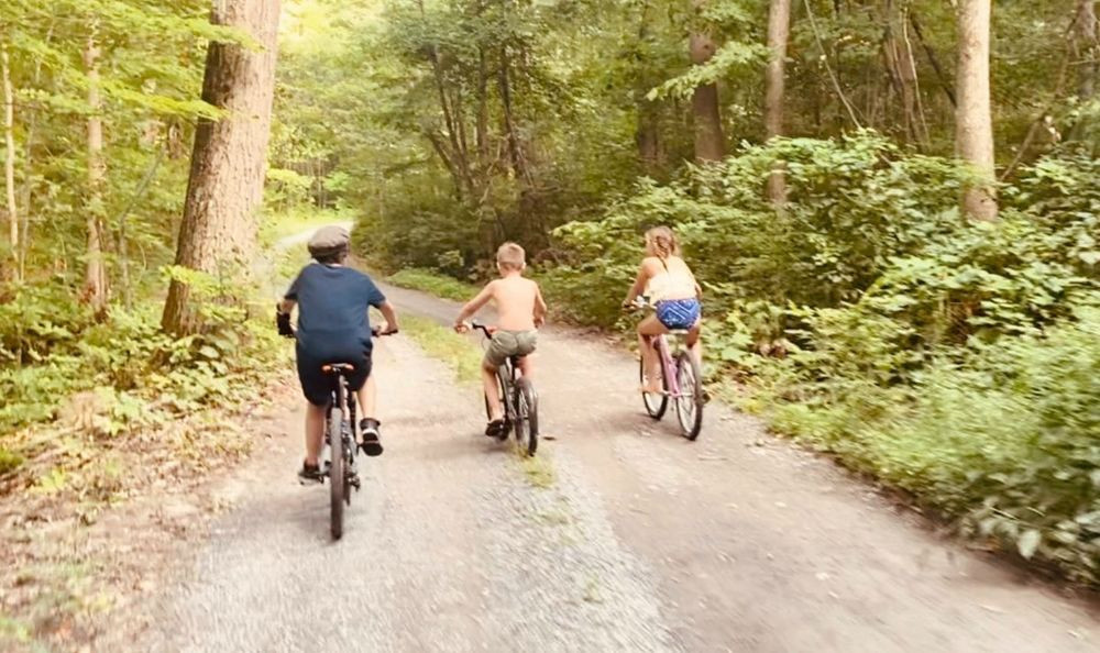 3 kids biking down a road in a forest. 