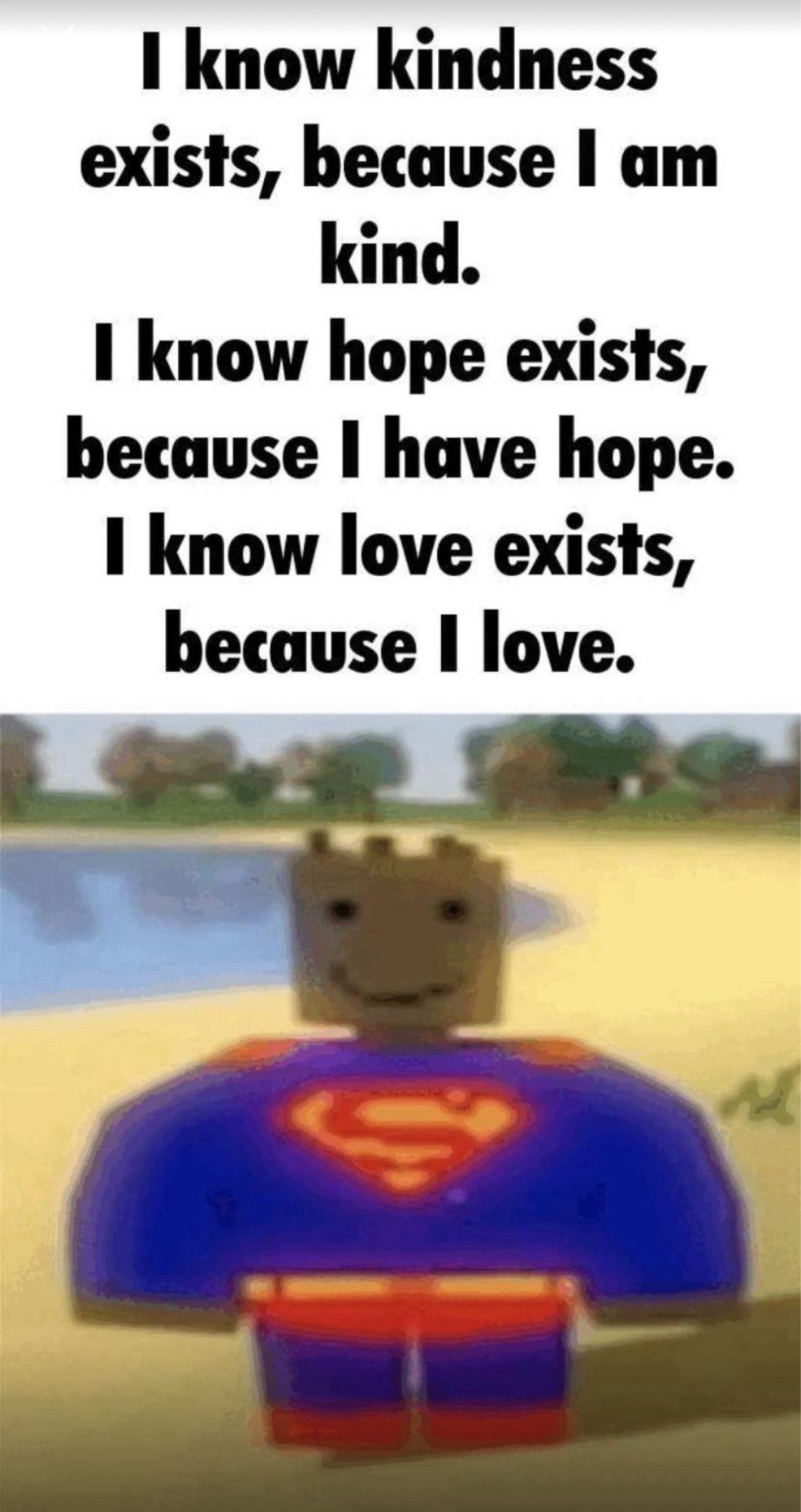 a roblox superman image with the text above saying “i know kindness exists because i am kind. i know hope exists because i have hope. i know love exists because i love”