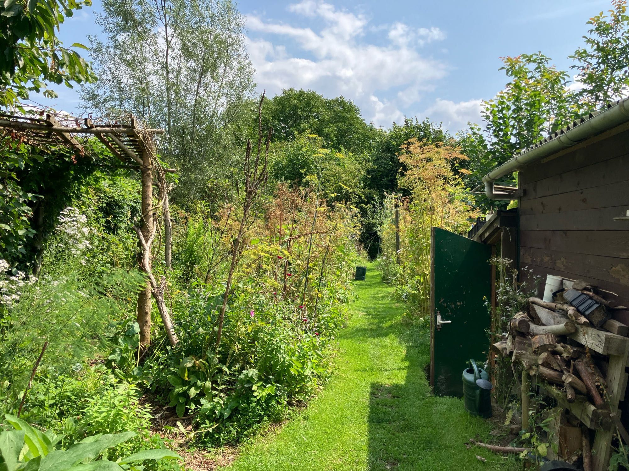 Zelfde uitzicht op de tuin nu, de meeste pastinaak is uitgebloeid/verwijderd.