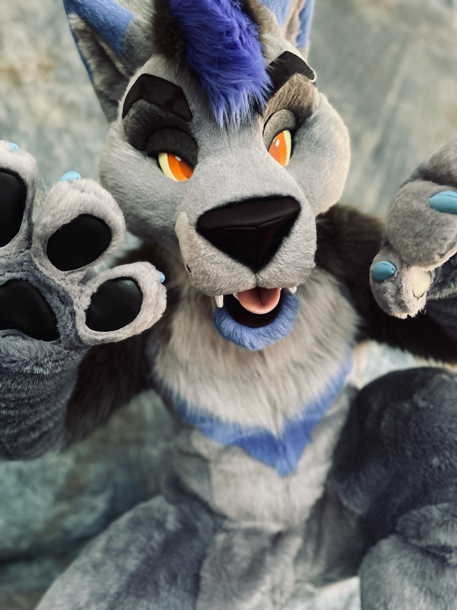 Crouching wolf fursuiter giving a menacing look and about to attack!