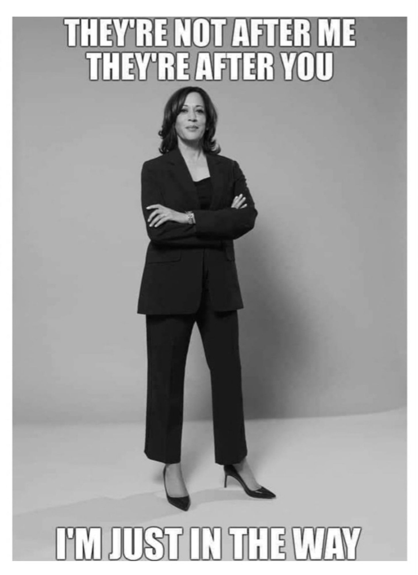 Kamala Harris

Text: "They're not after me / They're after you / I'm just in the way"

(Actually a z Trump Quote)