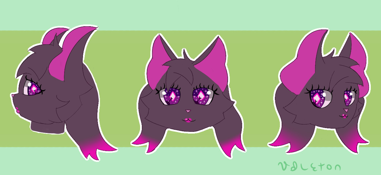 A long haired cat with lipstick and shiny eyes drawn in side view, front view and 3/4 perspective