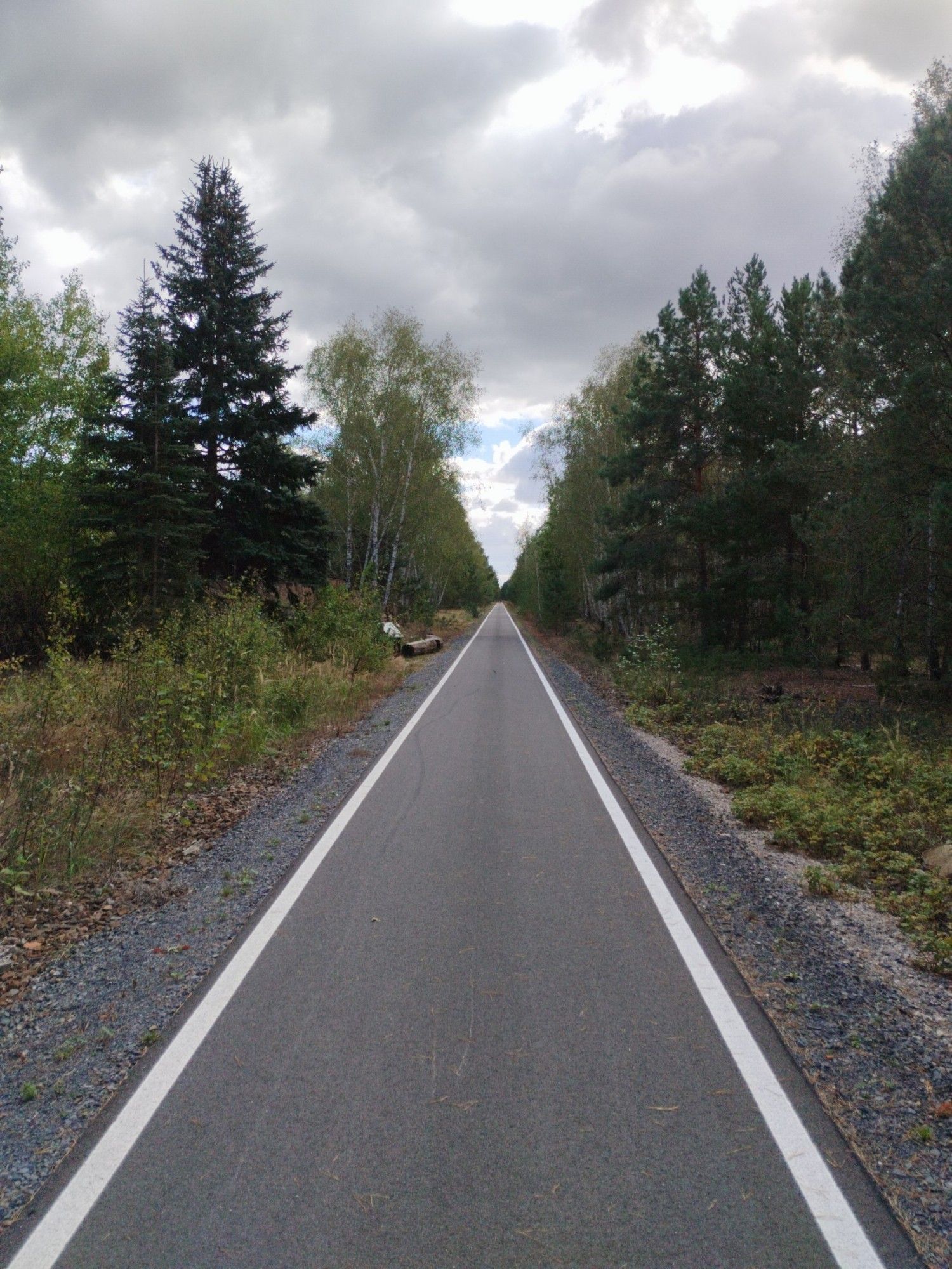 Ins endlose zu führend Scheinender Radweg. Zu beiden Seiten Wald.