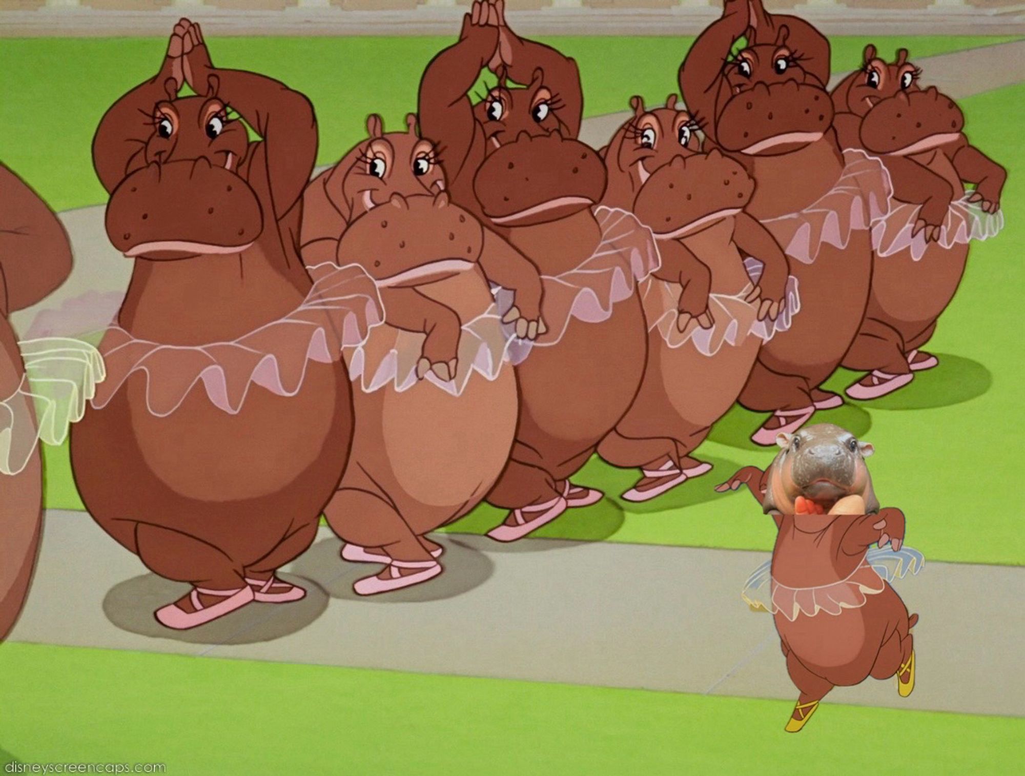 A cel from Fantasia with a line of hippo ballerinas preparing to dance. In the foreground a smaller dancer has been added that has moo deng’s head and face