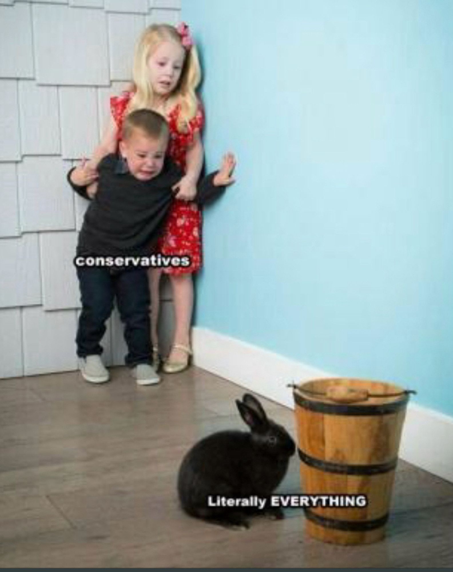 In the foreground there is a bored-looking black bunny rabbit in a room with a wooden bucket labeled “literally everything”. In the background, two small children cower in fear in the corner and are labeled “conservatives”.