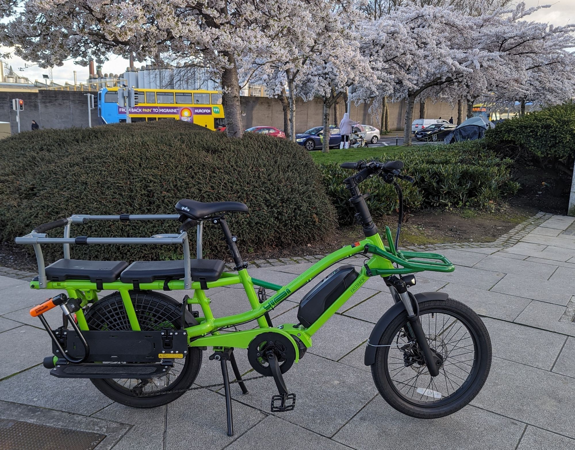 Green bike with blossoms in the background