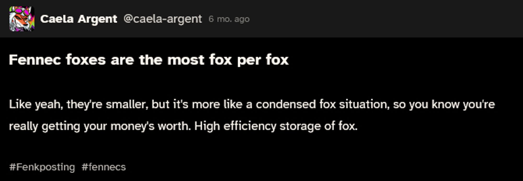 Fennec foxes are the most fox per fox

Like yeah, they're smaller, but it's more like a condensed fox situation, so you know you're really getting your money's worth. High efficiency storage of fox.