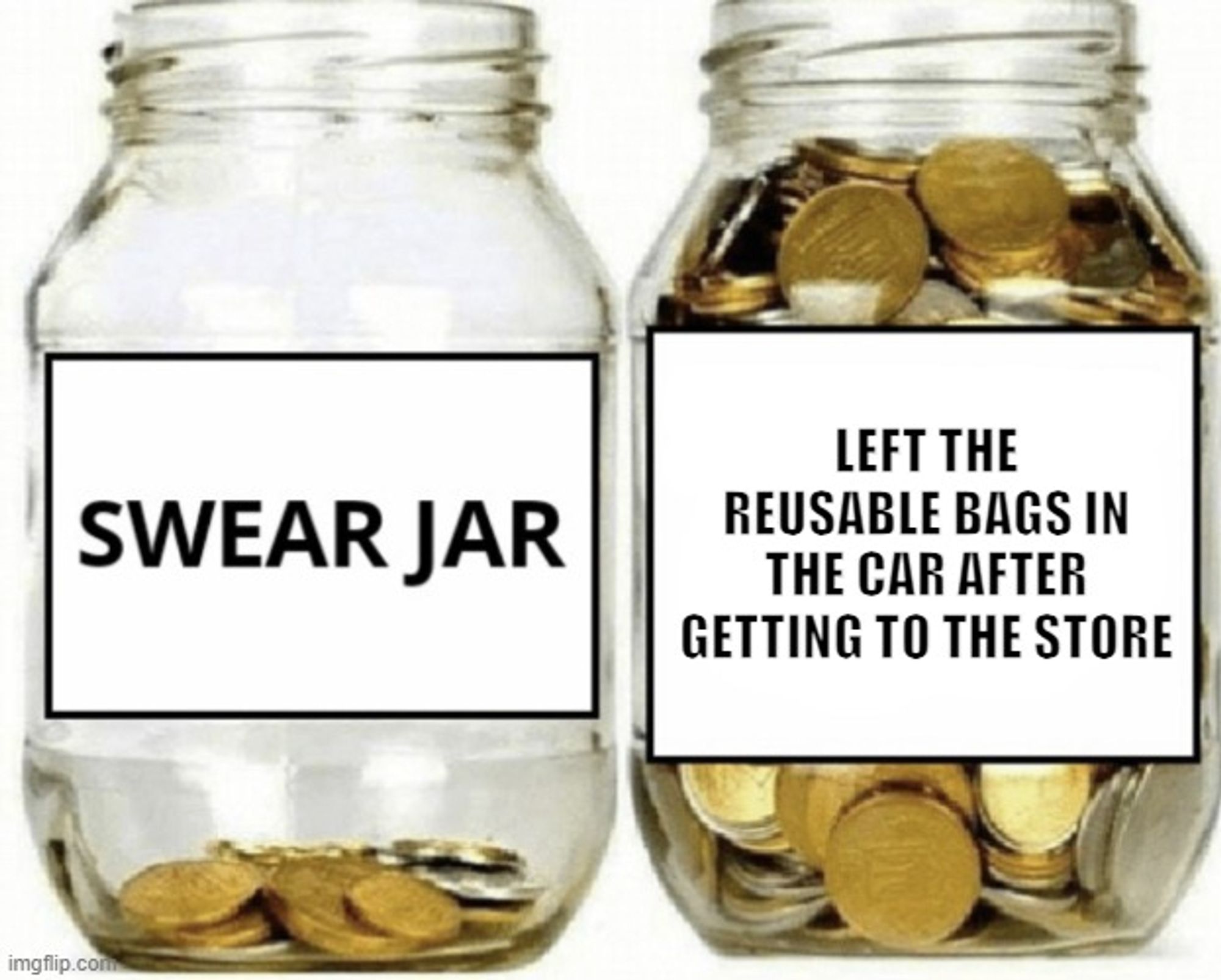 Image of a swear jar with a few coins in it next to a jar almost full of coins labeled "Left the reusable bags in the car after getting to the store"