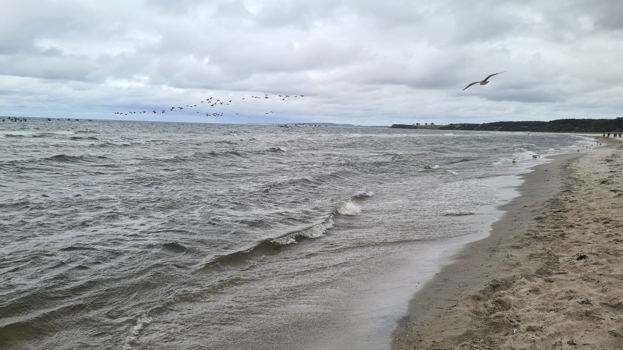 Die Ostsee, Regenwolken, Gänse und Möwen im Wind, etwas Strand