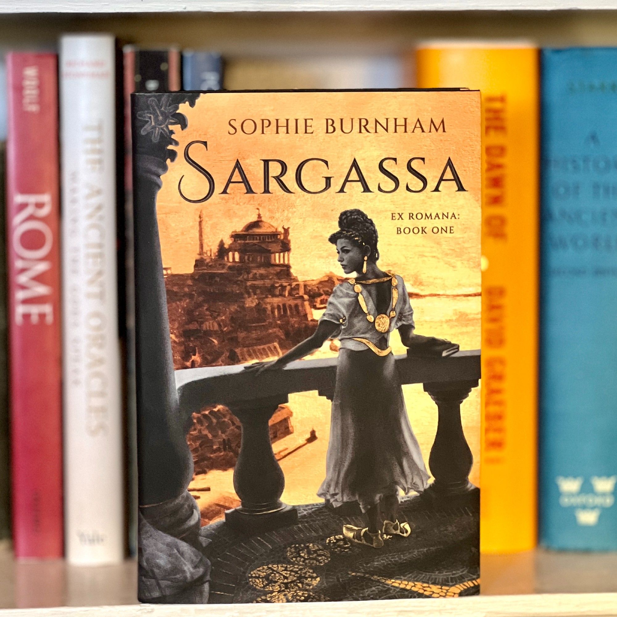 A copy of SARGASSA by Sophie Burnham sits on a shelf of history books, including ROME, THE DAWN OF EVERYTHING by David Graeber, and A HISTORY OF THE ANCIENT WORLD